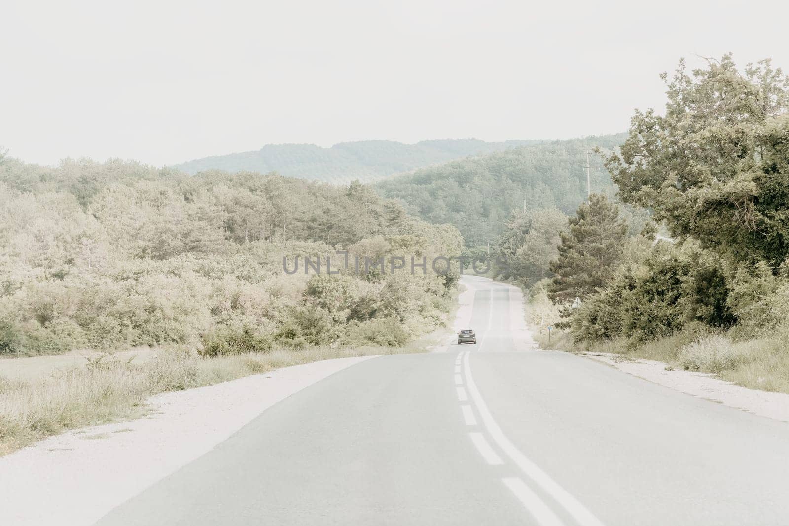 A lone car drives on a winding asphalt road through a lush green forest, bathed in soft, diffused light. The scene evokes tranquility and a sense of journey.