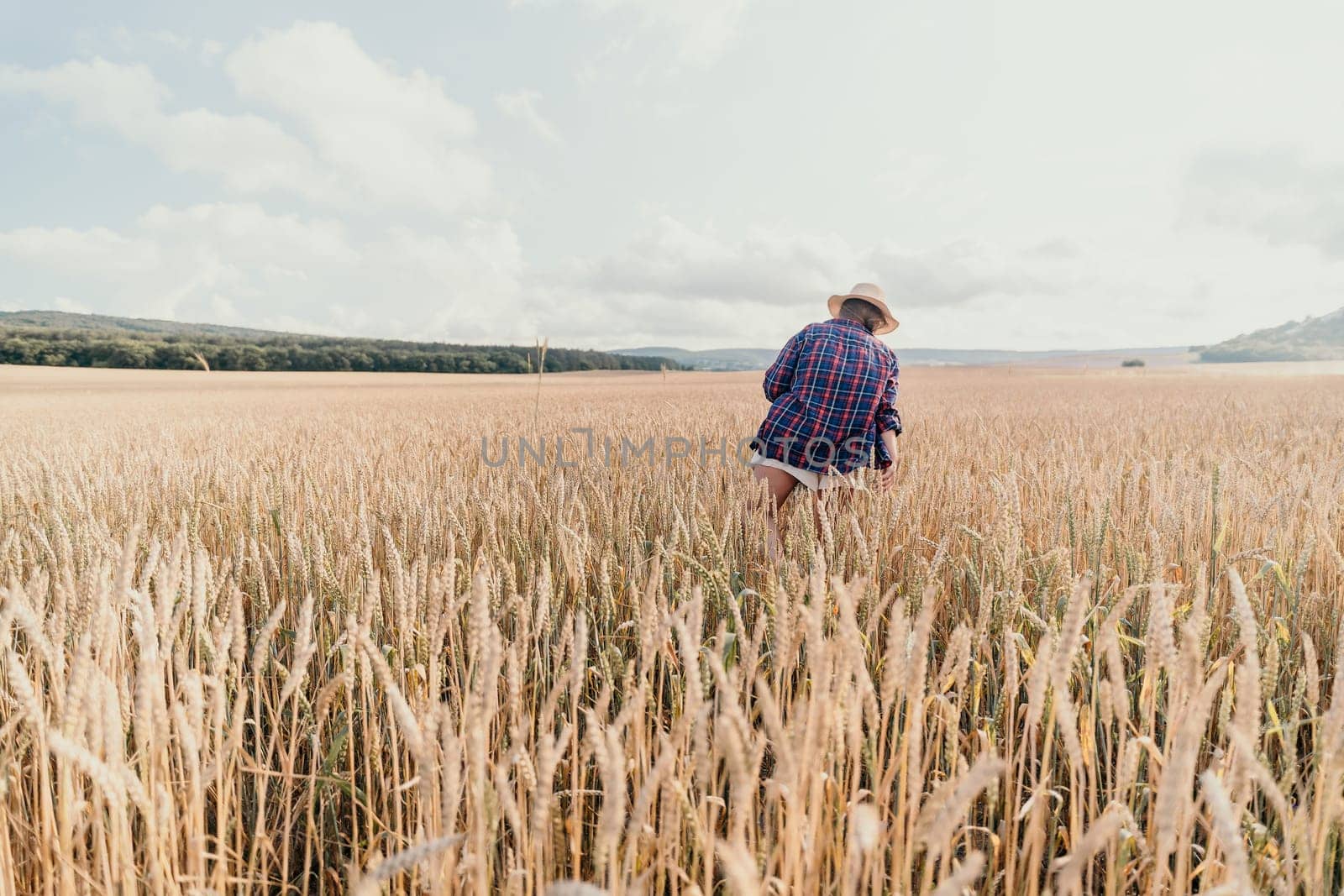A woman in a plaid shirt and hat walks through a field of golden wheat on a sunny day.