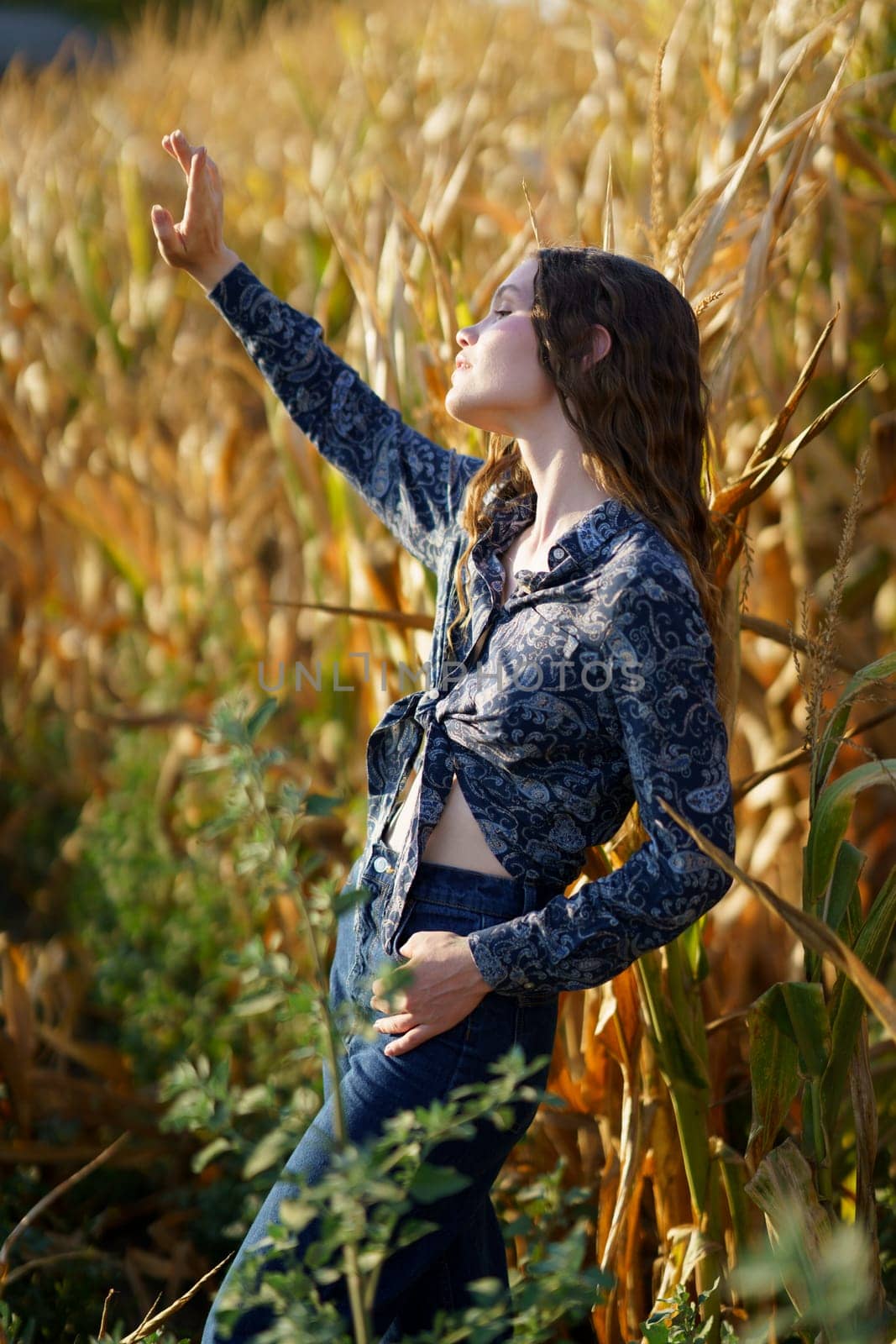 A captivating and enchanting portrait of a young woman dressed in a stylish outfit, gracefully posing amidst the vibrant golden cornfields, beautifully merging the elements of nature and fashion