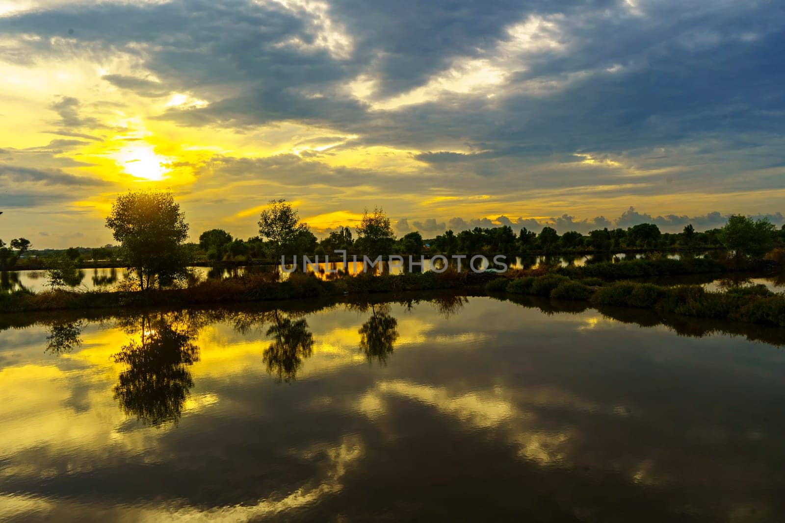 A breathtaking sunset casts golden hues over a tranquil pond near Mengare, Gresik, Indonesia. Silhouetted trees and clouds create a dramatic reflection on the water's surface.