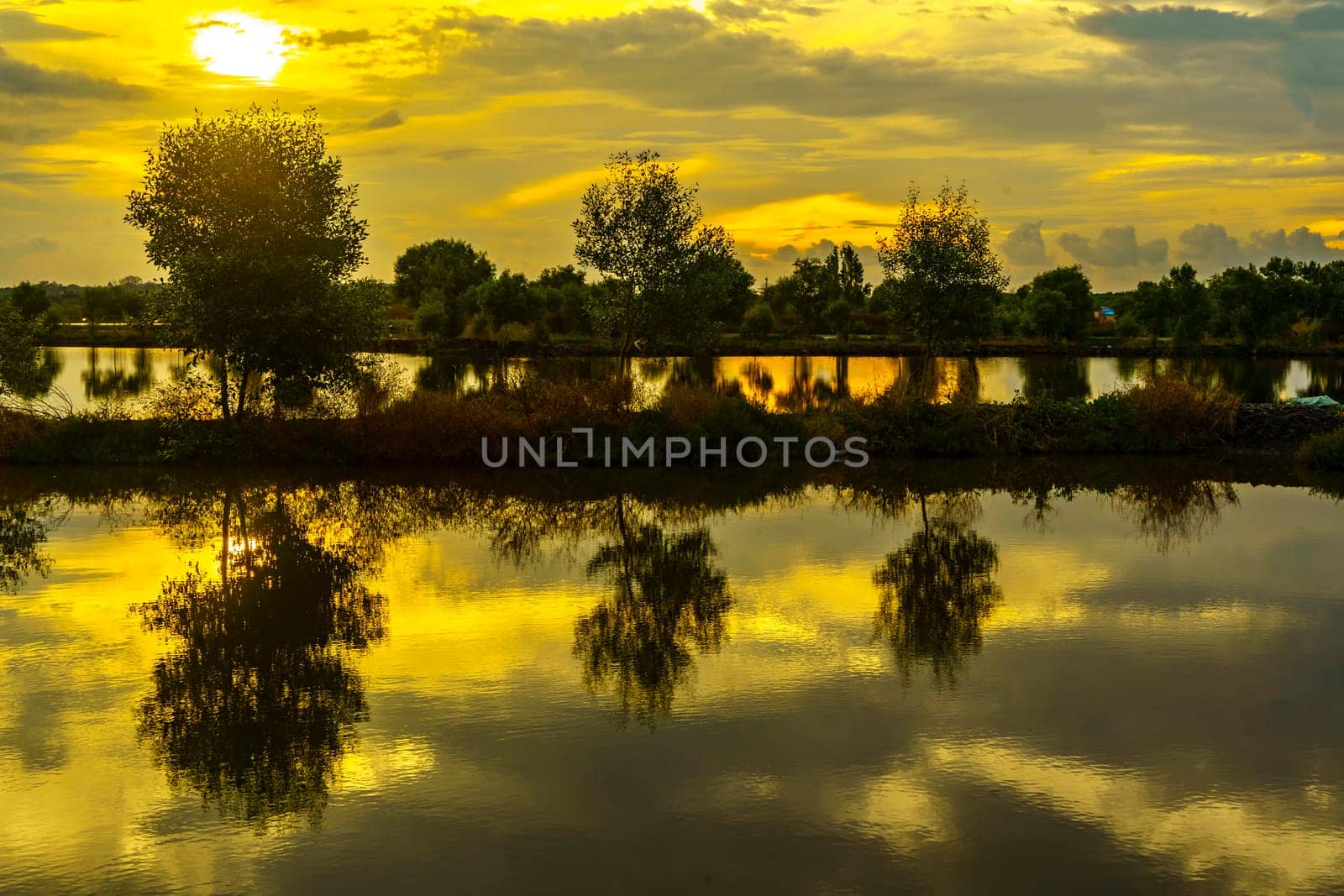 A breathtaking sunset casts golden hues over a tranquil pond near Mengare, Gresik, Indonesia. Silhouetted trees and clouds create a dramatic reflection on the water's surface.
