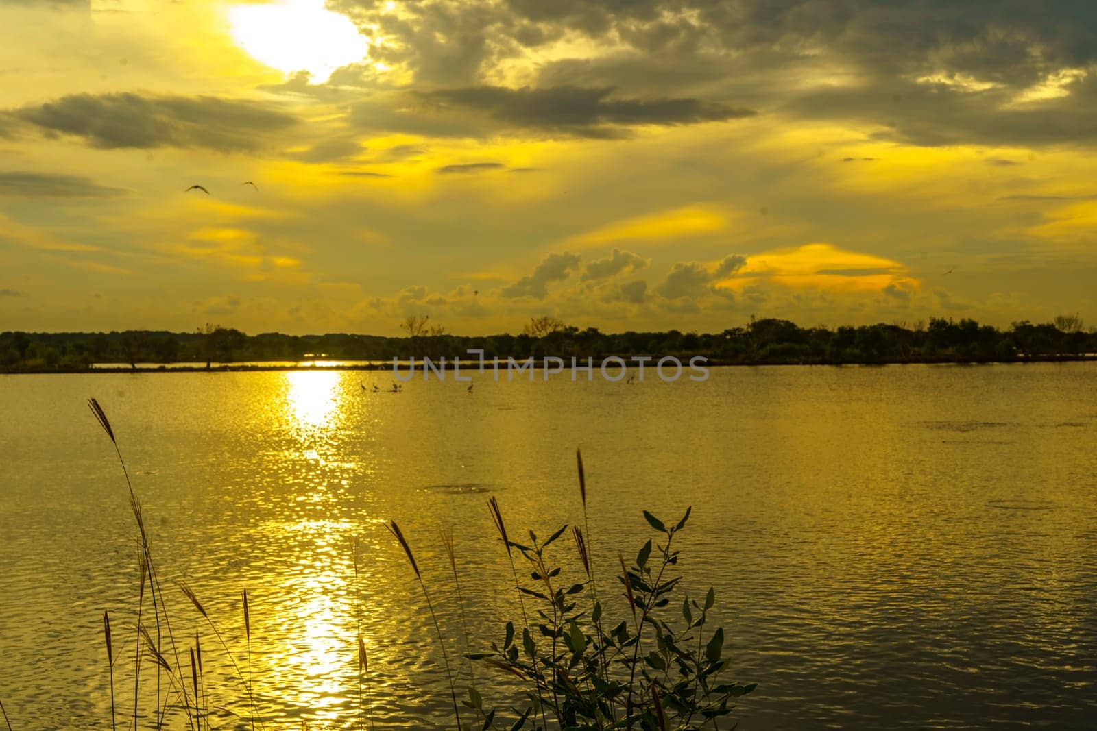 A breathtaking sunset casts golden hues over a tranquil pond near Mengare, Gresik, Indonesia. Silhouetted trees and clouds create a dramatic reflection on the water's surface.