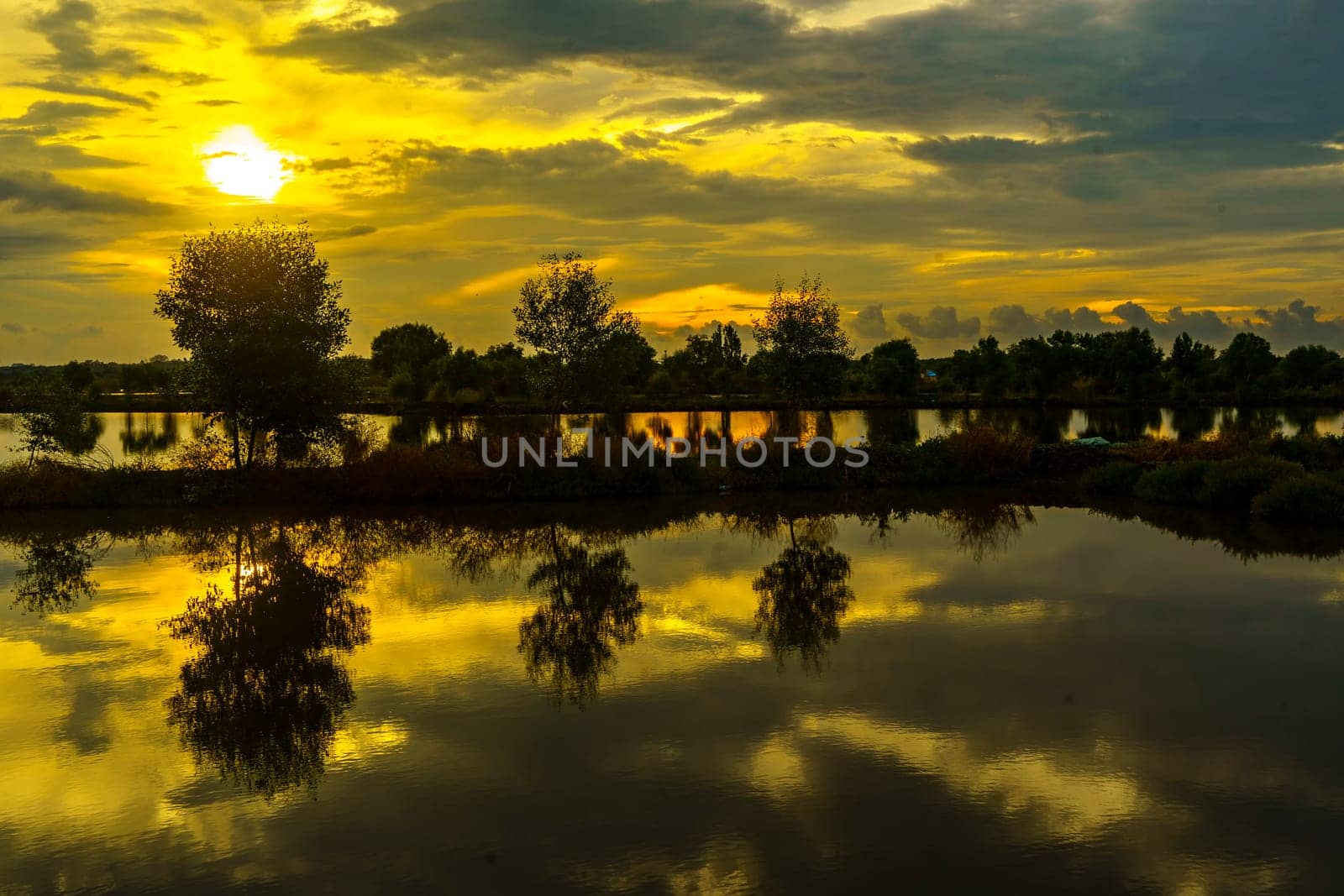 A breathtaking sunset casts golden hues over a tranquil pond near Mengare, Gresik, Indonesia. Silhouetted trees and clouds create a dramatic reflection on the water's surface.
