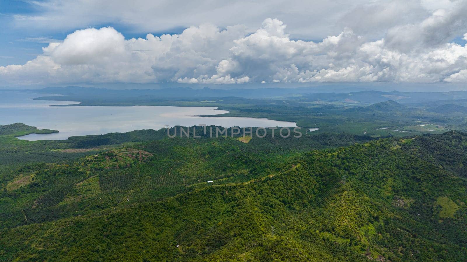 Aerial view of coast of the island of Borneo with palm oil plantations and jungle. Malaysia.