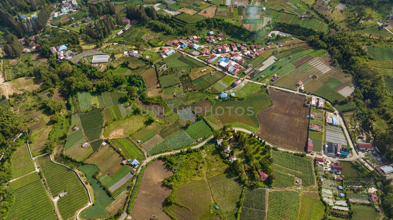 Farmland and agricultural fields with harvest. Houses and village in the countryside. Sumatra, Indonesia.