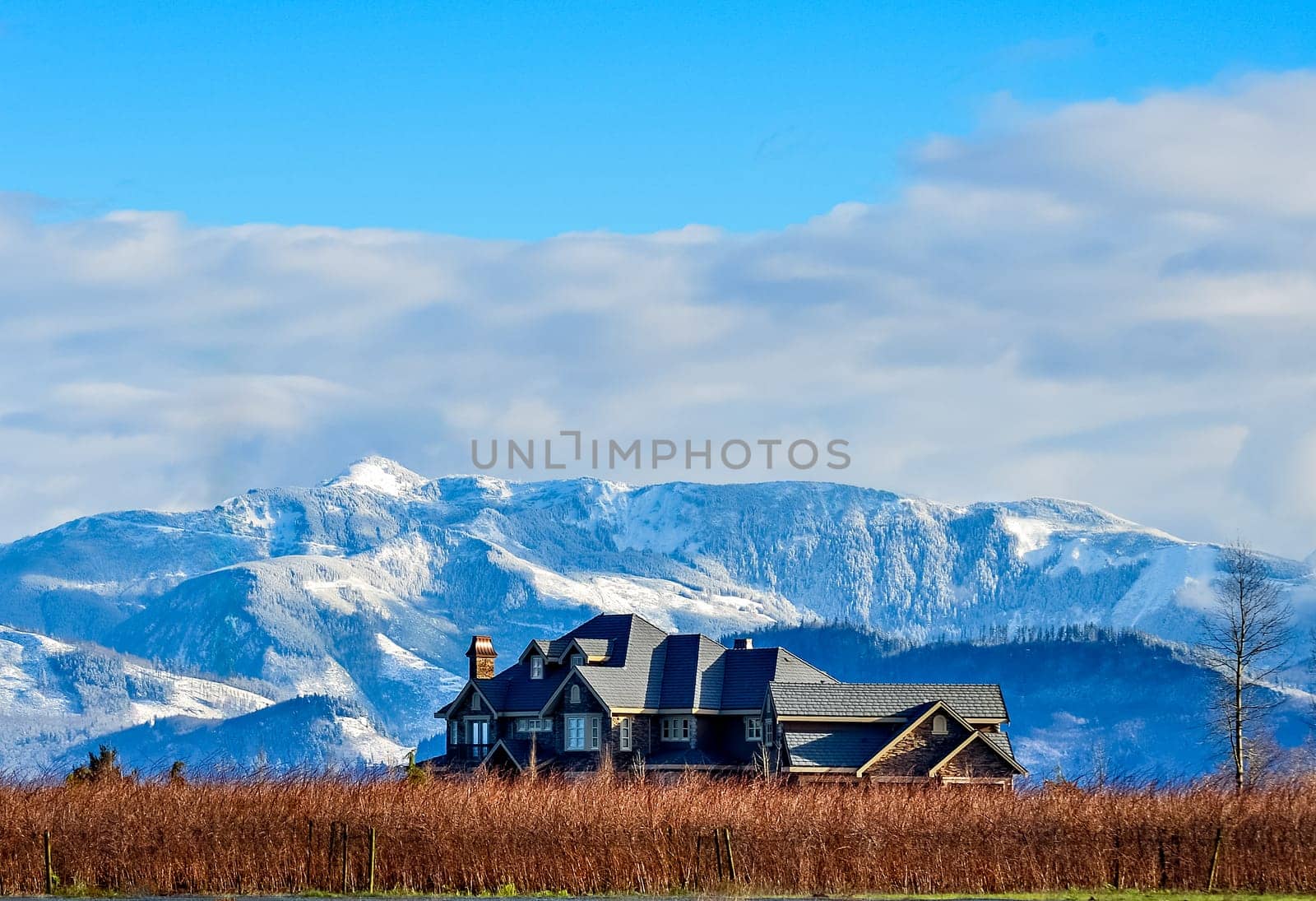 A berry farm with mountain view on winter season in the Fraser valley, British Columbia, Canada.