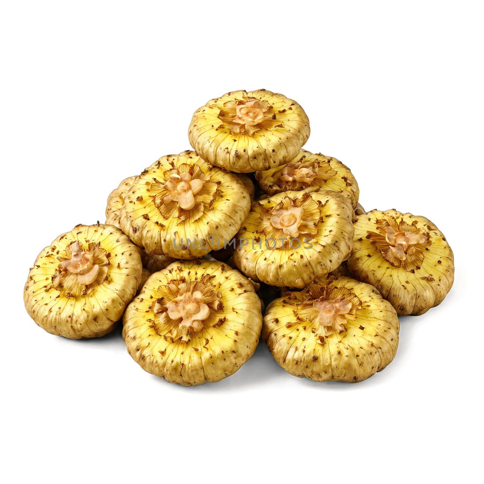 Sunchoke with knobby tubers and sliced rounds in scattered composition Food and culinary concept. Food isolated on transparent background.
