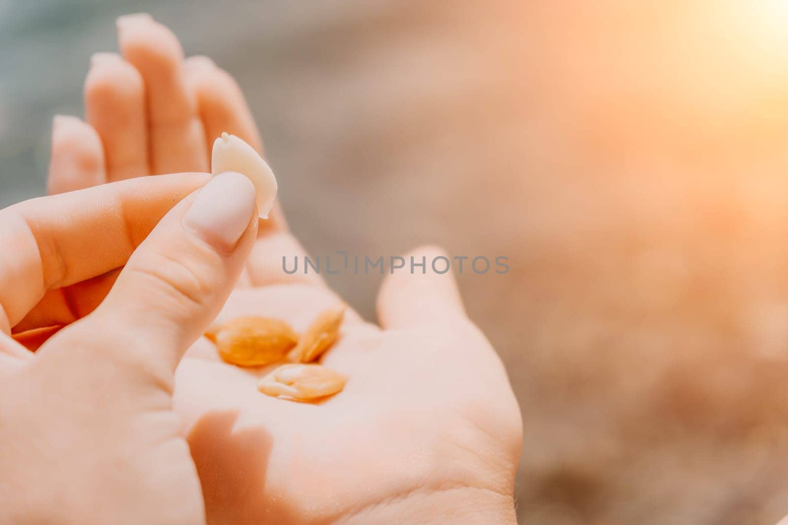 Woman eating milky almond nuts. A young caucasian woman choping fresh green almond after morning fitness yoga near sea. Only hands are visibly. Healthy vegan food. Slow motion. Close up