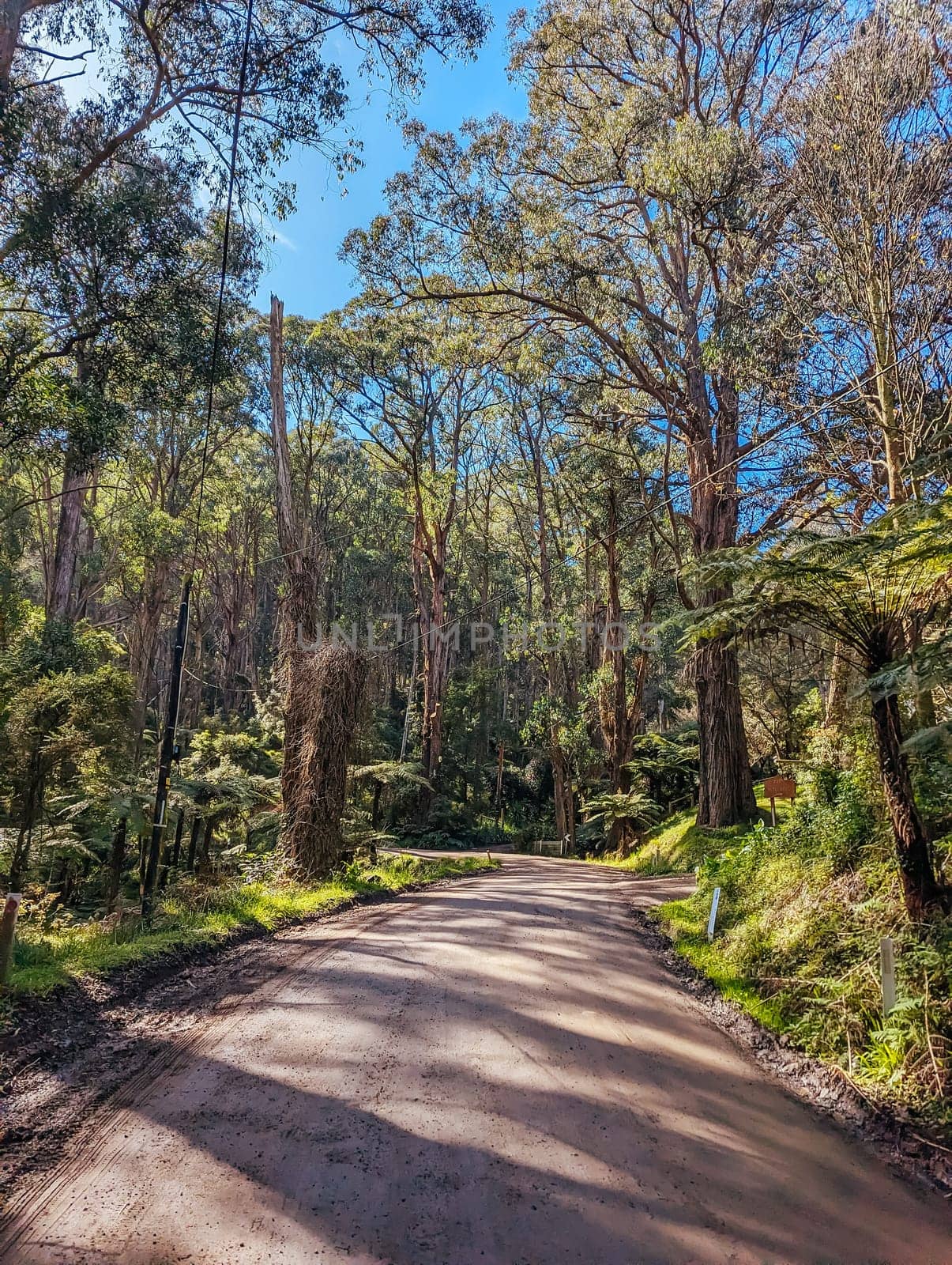 Basin-Olinda Rd and surrounding landscape on a spring sunny day in Melbourne, Victoria, Australia