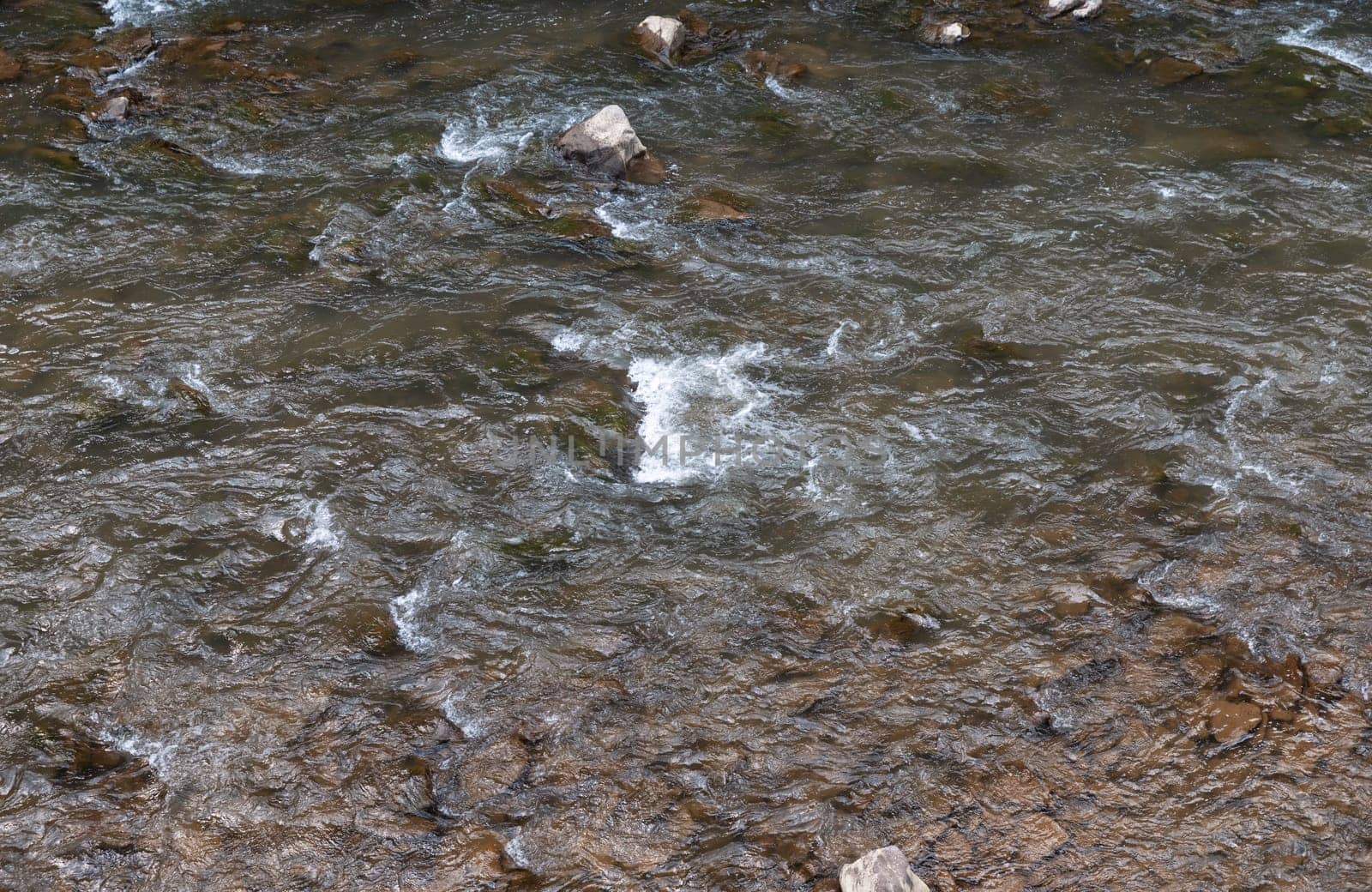 A mountainous shallow river flowing swiftly among the rocks in the forest