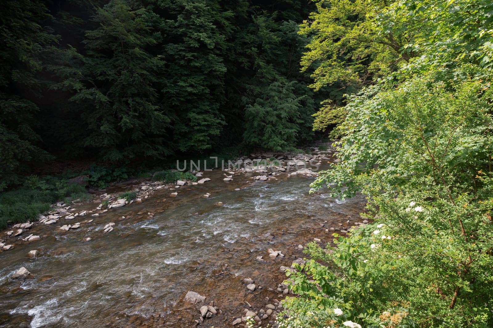 A mountainous shallow river flowing swiftly among the rocks in the forest