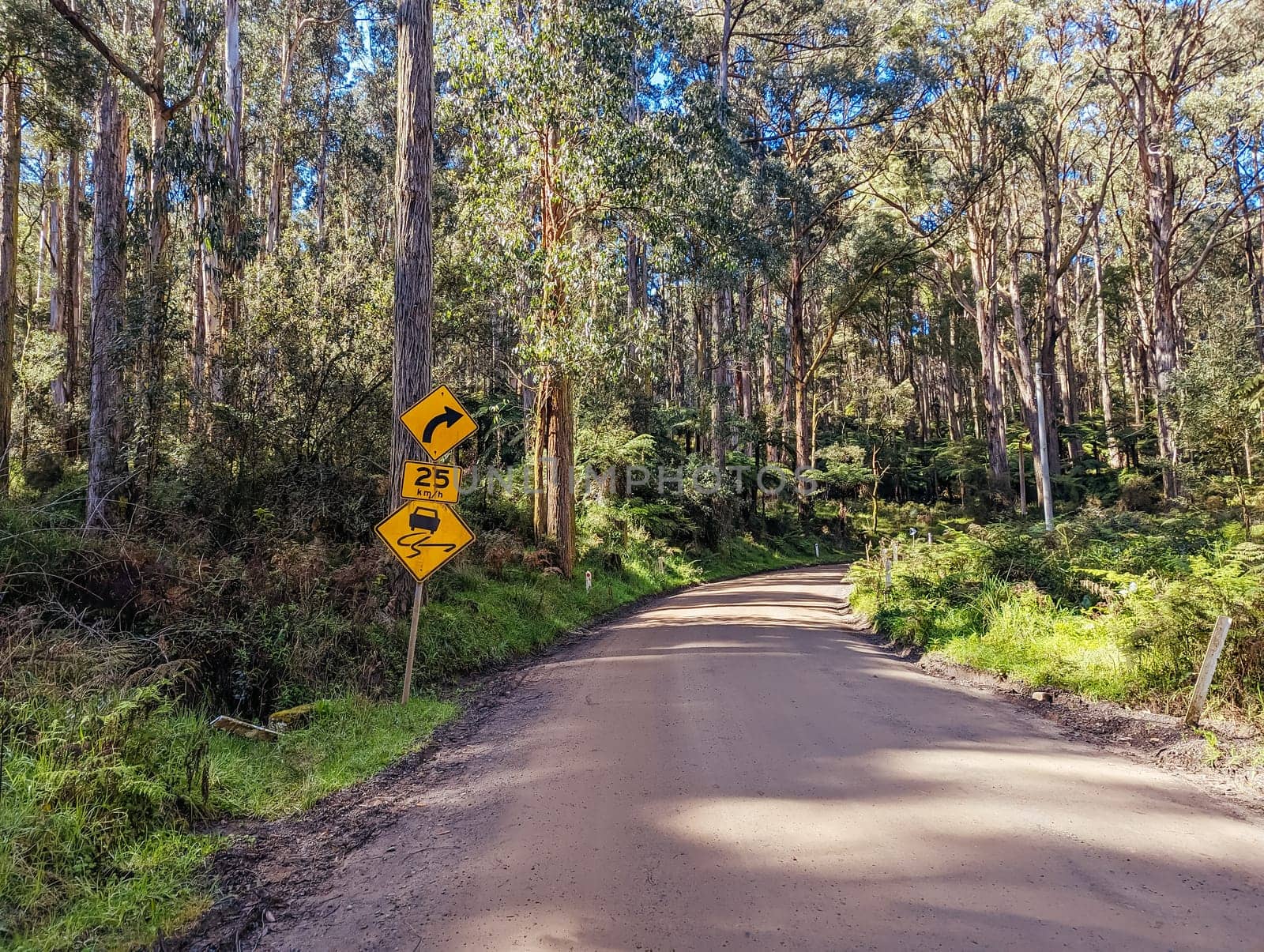 Basin-Olinda Rd and surrounding landscape on a spring sunny day in Melbourne, Victoria, Australia