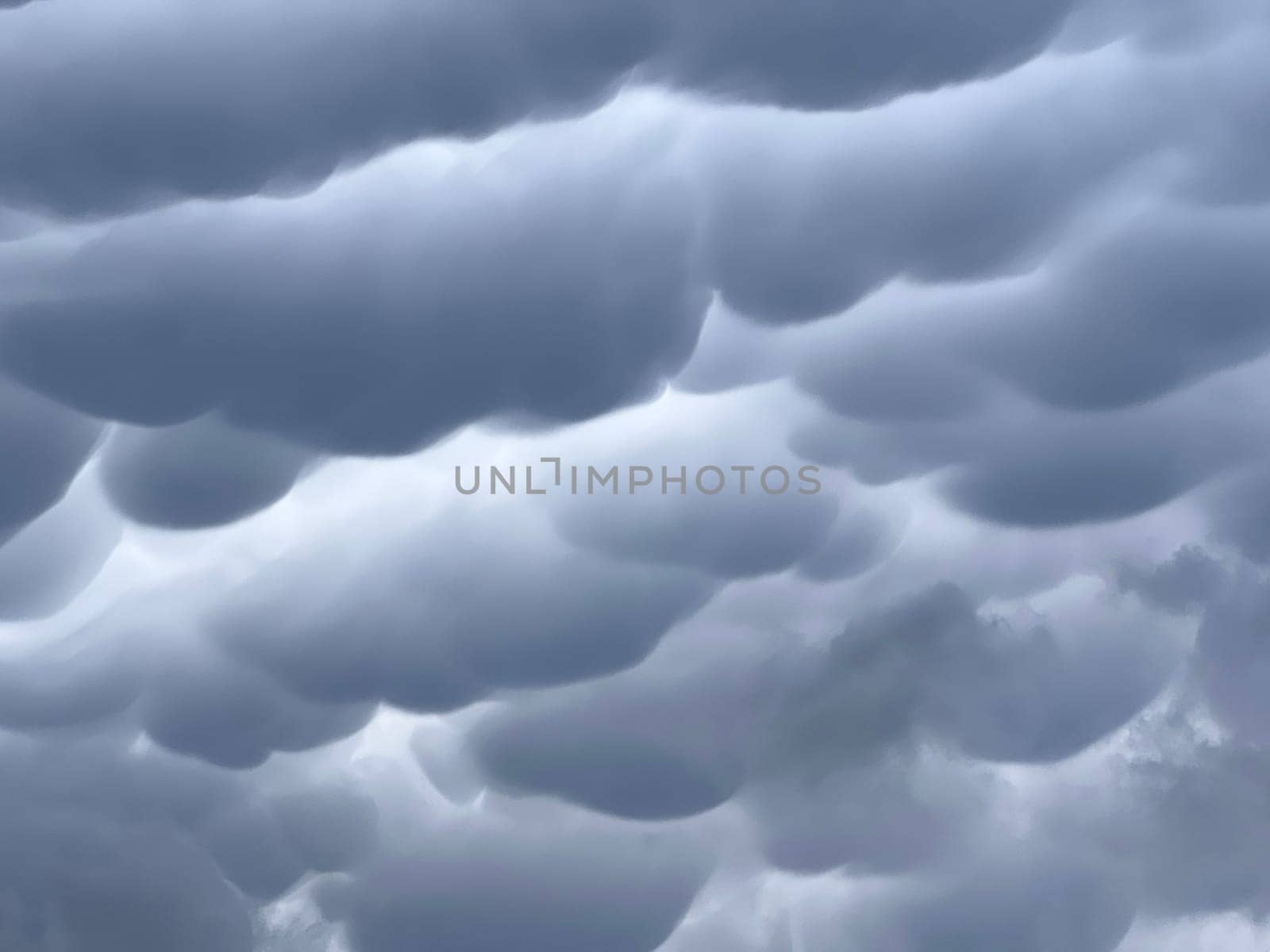 blue cloudy sky. nature around. green grass horizon. sunny day. white clouds. High quality photo