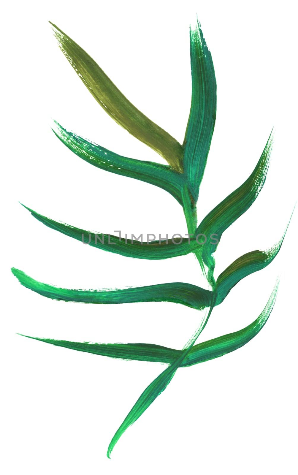 palm leaf painted in gouache with a dry brush isolated on a white background for the design of summer fabrics and other