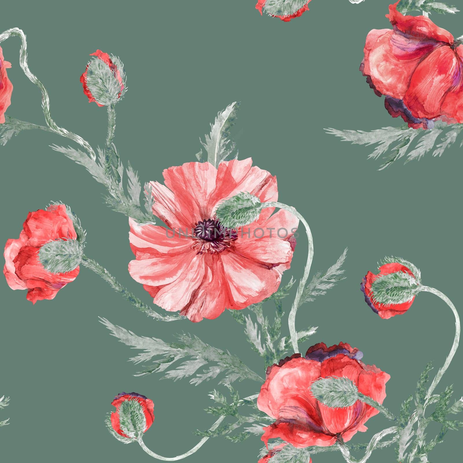 Seamless botanical watercolor pattern with poppies on a white background. Vintage summer print for textile and surface design