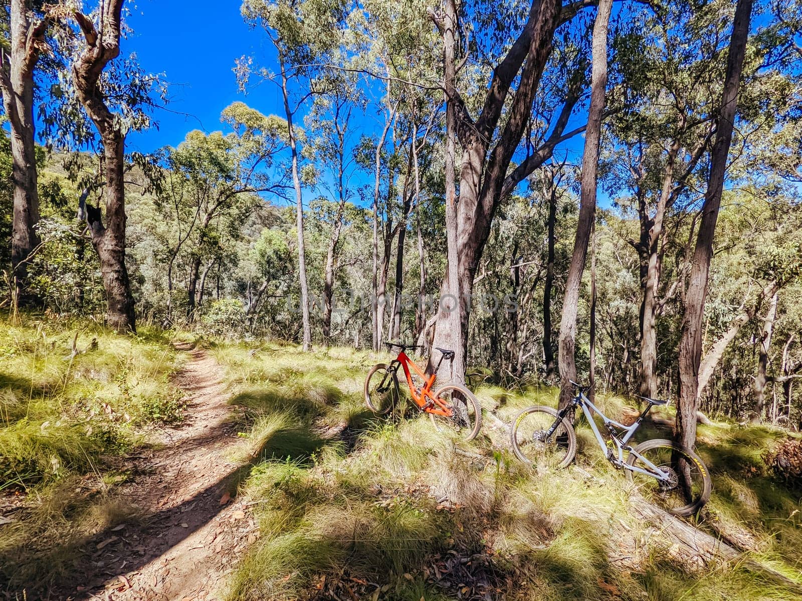 Yackandandah mountain bike trails in Indigo Shire in Victoria, Australia