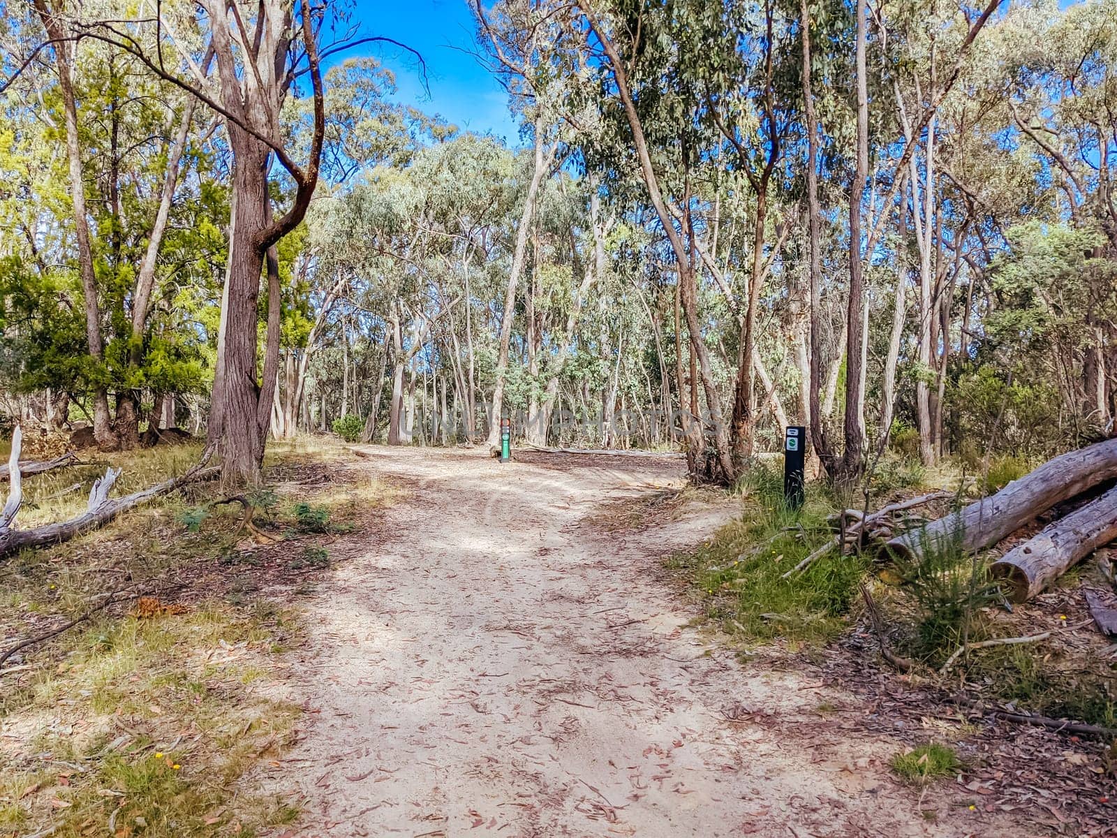 Beechworth mountain bike trails in Indigo Shire in Victoria, Australia