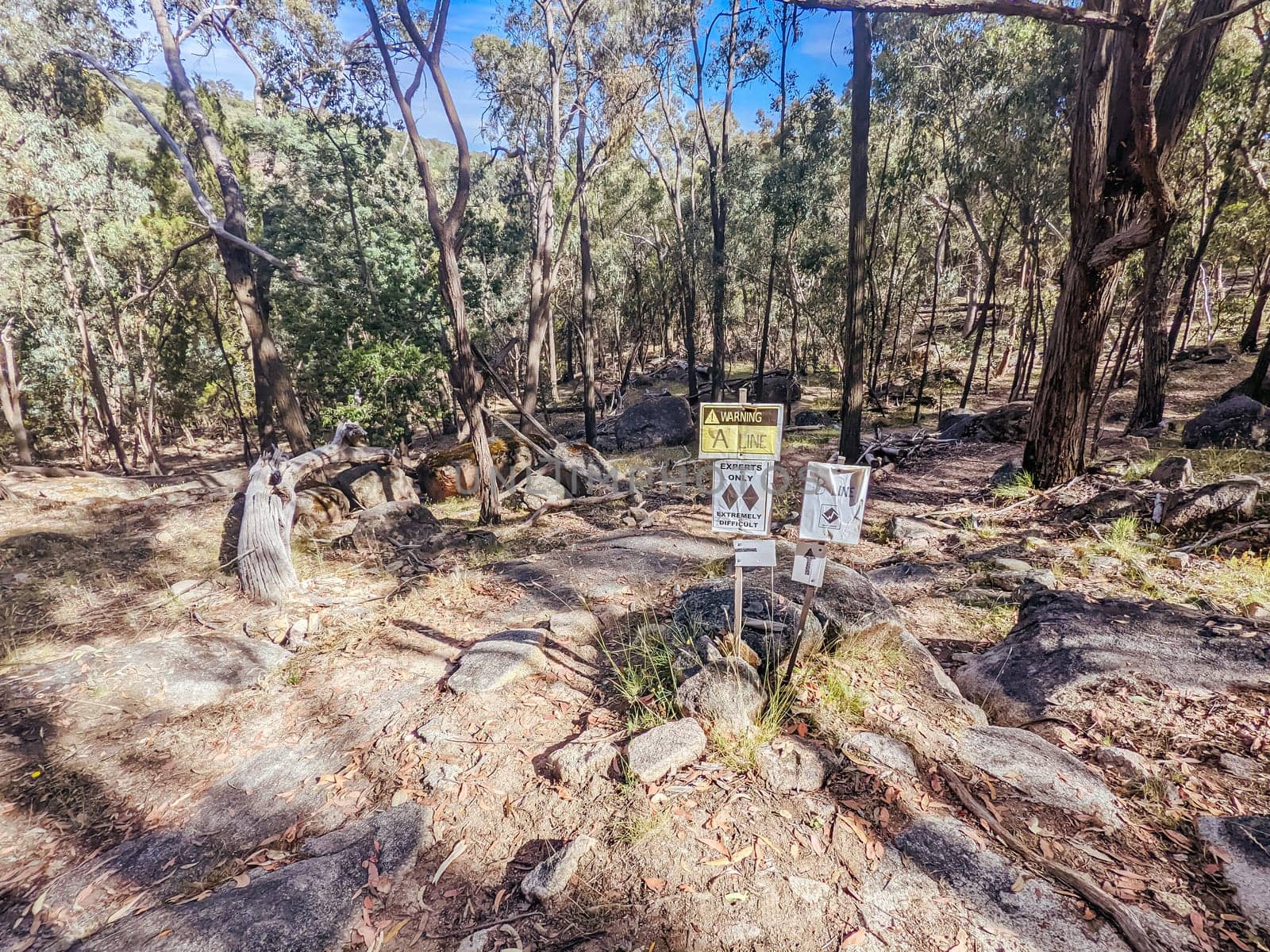 Beechworth mountain bike trails in Indigo Shire in Victoria, Australia