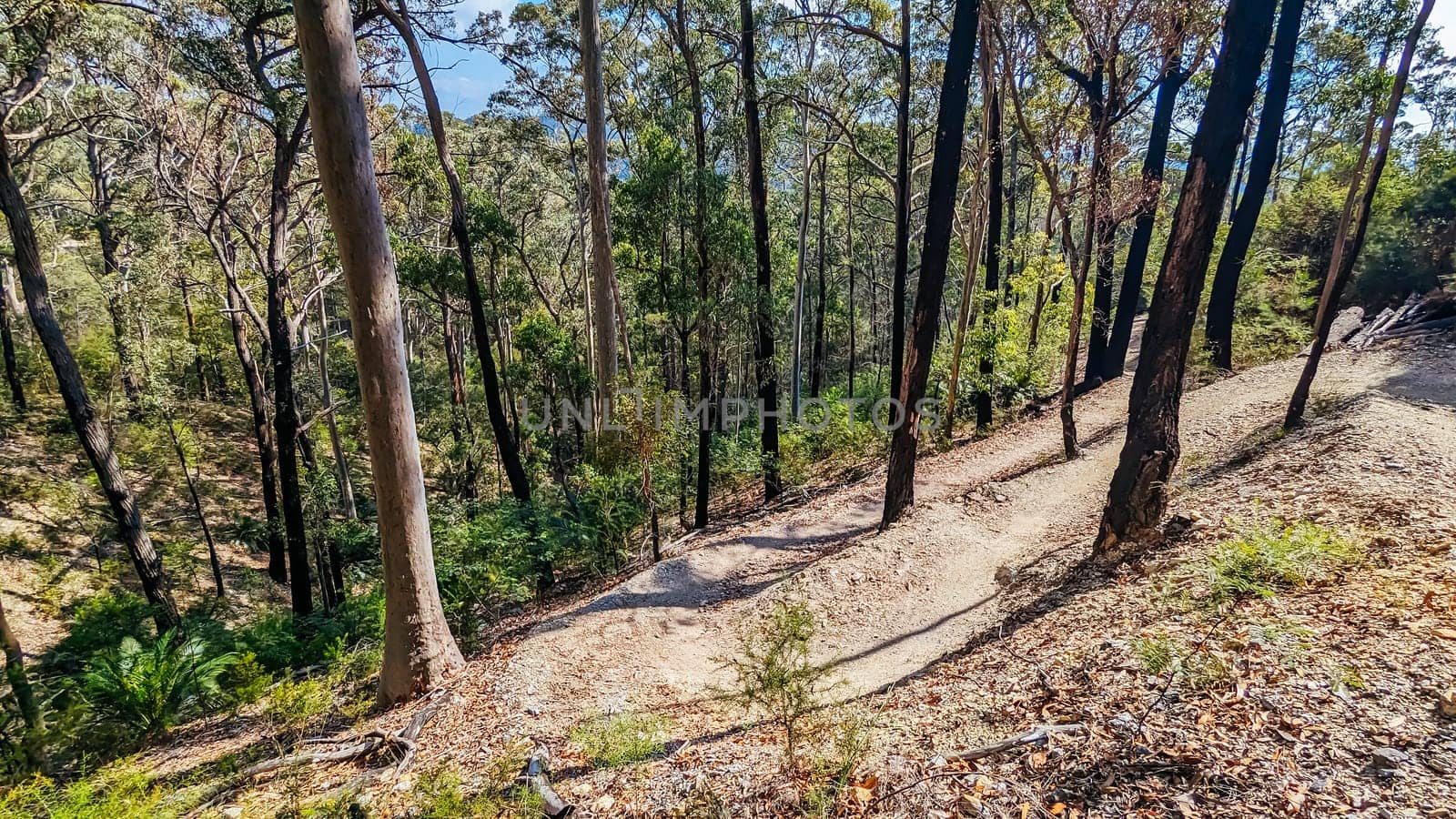 Narooma mountain bike trails near Dalmeny in New South Wales south coast, Australia