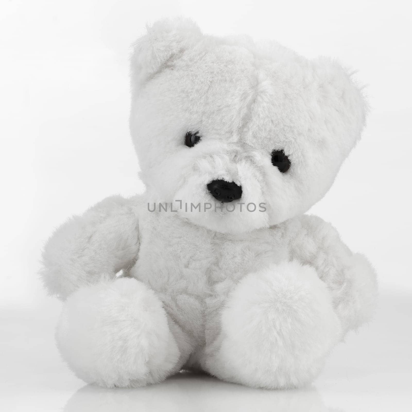 A small white Teddy Bear on white