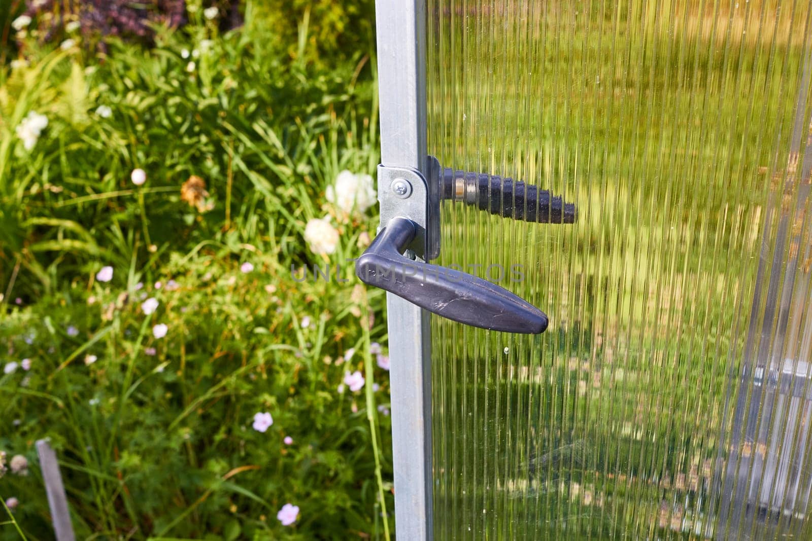 polycarbonate greenhouse in the garden. Greenhouse with an open door in the vegetable garden on a sunny day.
