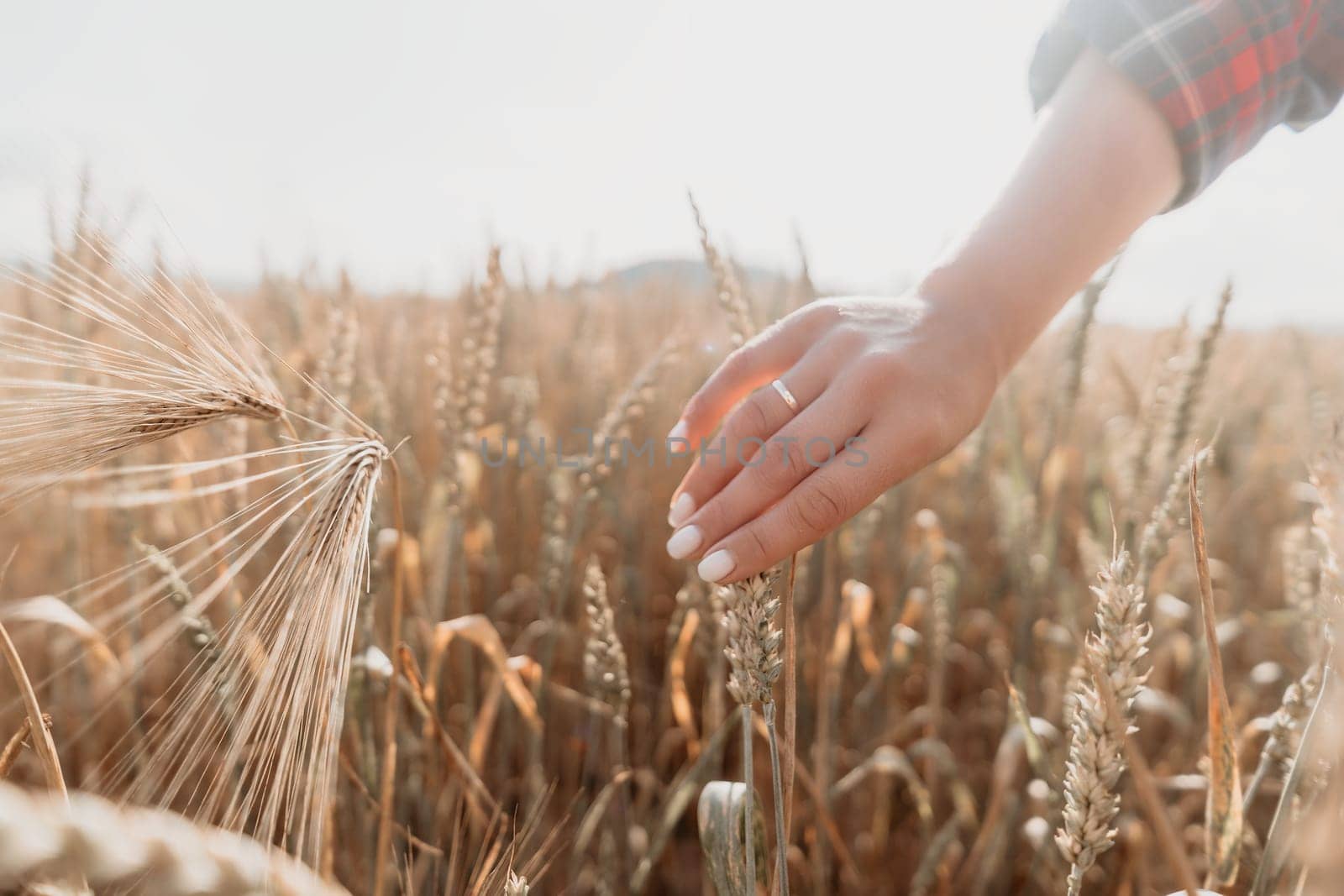 A woman's hand with white painted nails touches a wheat stalk in a golden field, with a soft and warm light.
