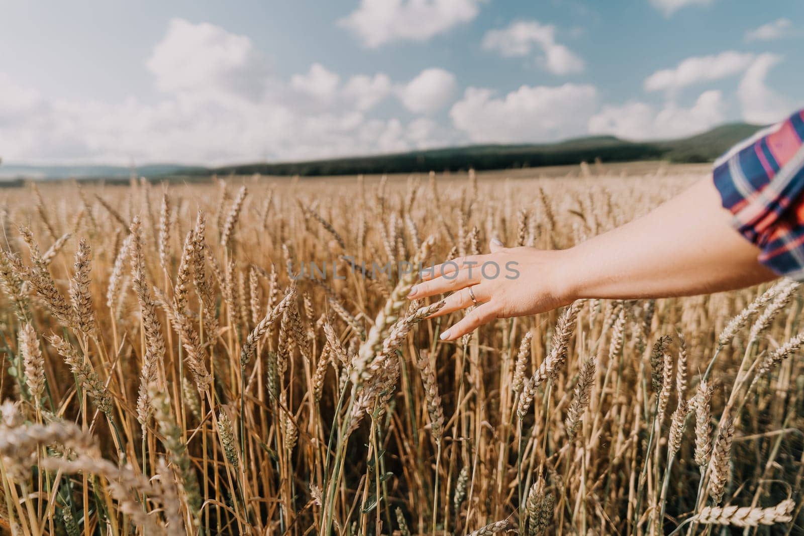A hand reaches out through tall stalks of wheat in a field, with a bright blue sky and fluffy clouds in the background.