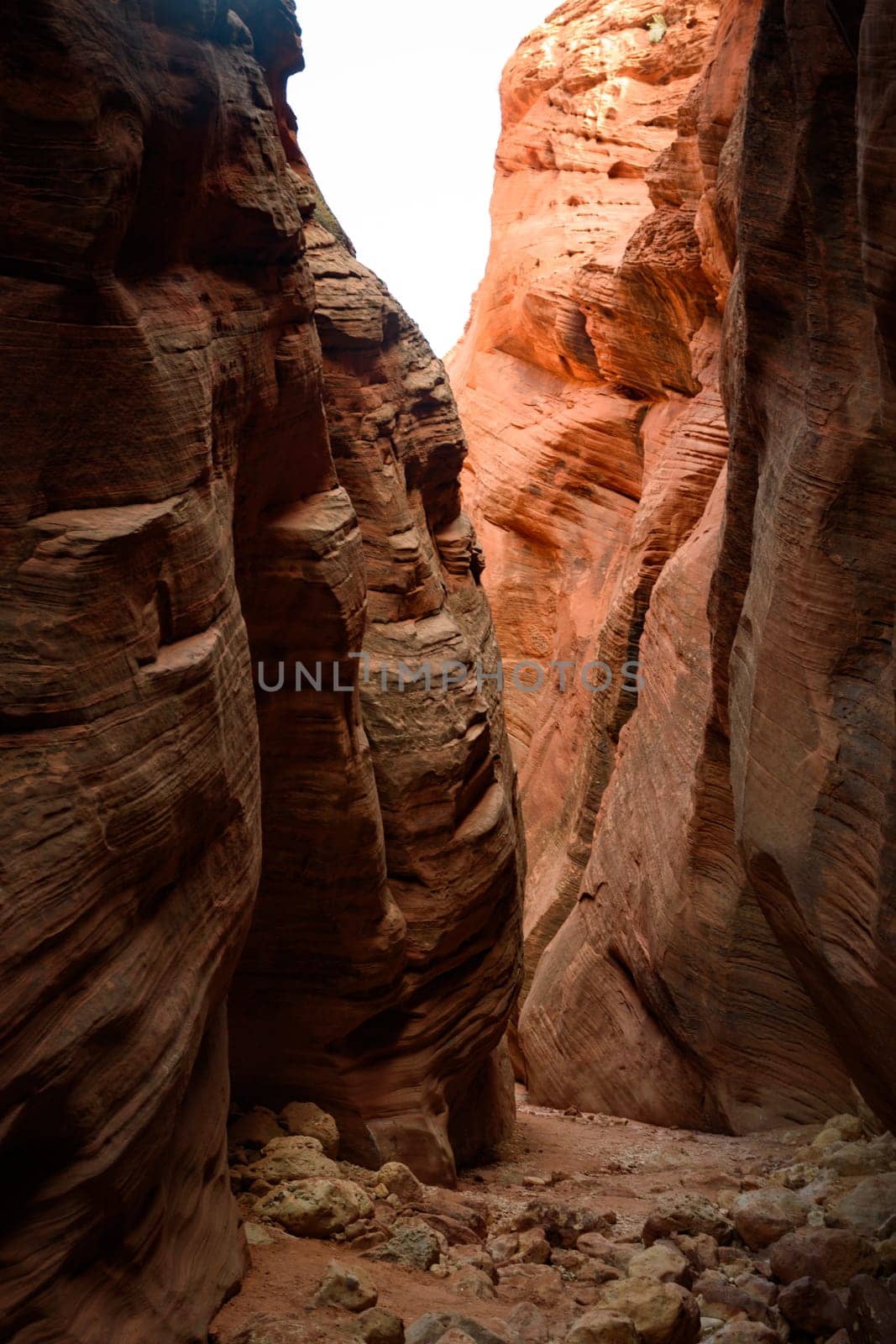Breathtaking view of the intricate rock formations within Buckskin Gulch slot canyon on the Arizona, Utah border. Dramatic light accentuates the textures and shadows in this stunning slot canyon - USA