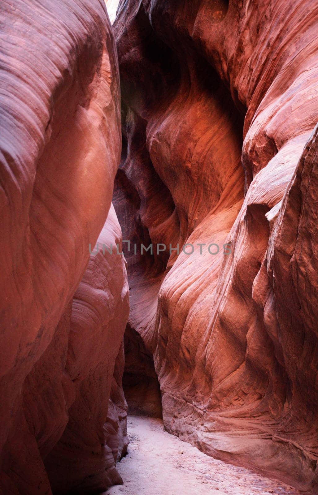 Explore the stunning pink stone walls of Buckskin Gulch Slot Canyon, located on the Arizona, Utah border. This breathtaking natural wonder showcases intricate geological patterns and vibrant colors.