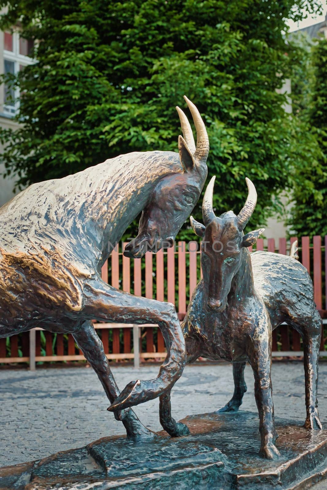 A close-up image of the famous goat statues in Poznan, Poland, representing a well-known local legend. The bronze sculptures depict two goats facing each other in a dynamic pose, symbolizing the city cultural heritage. These statues are located in the city center and are a significant part of Poznan historical and artistic landscape. Perfect for use in travel, cultural, and historical themes.