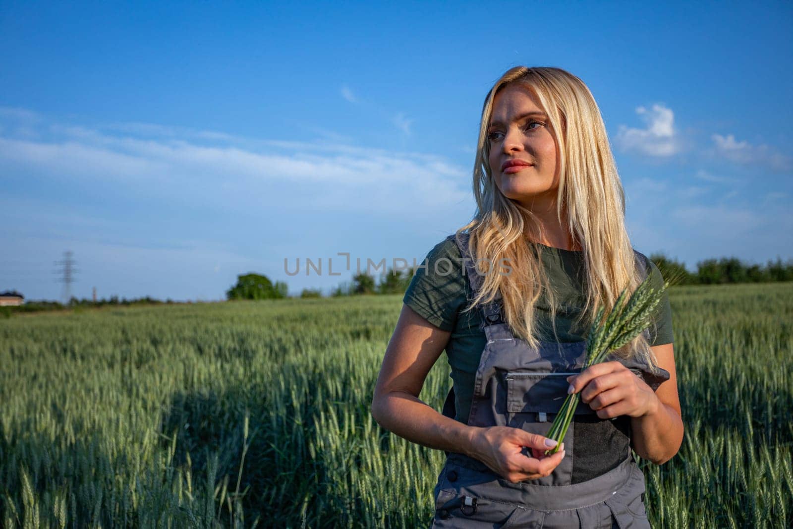 In the midst of a vast grain field, a content and smiling female farmer stands, holding wheat stalks in her hands. Her face is full of nostalgic memories. With a gaze fixed on the horizon, she exudes a sense of satisfaction and fulfillment. The golden sunlight bathes the scene, illuminating her features and adding a warm glow to the surroundings. Against the backdrop of the sprawling landscape, her presence exudes tranquility and harmony with nature. This captivating image captures the essence of agricultural contentment, where the beauty of the countryside meets the joy of a successful harvest. It celebrates the bond between farmer and land, where hard work and dedication yield abundant rewards, and each moment is cherished amidst the golden fields of grain. She has her working clothes on, worn with pride, speak volumes of her dedication to the soil. The female farmer has blonde, long hair illuminates by the sun.