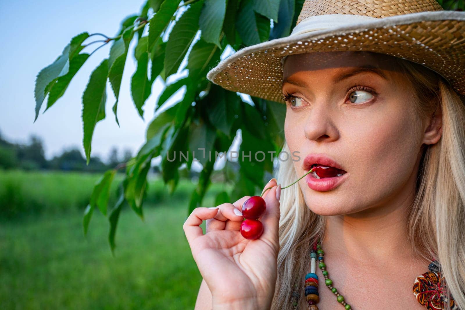 In the radiant warmth of summer, a captivating scene unfolds beneath the canopy of a cherry tree laden with ripe, ruby-red fruit. A woman, with blonde hair framing her face, gazes to the side, her emerald eyes alight with delight. Her lips, adorned with a luscious cherry, part in a subtle smile as she savors the moment. Clad in summery attire befitting the season, she exudes an air of carefree elegance. Atop her head rests a straw hat, shielding her from the sun's golden rays. Around her neck, a necklace of vibrant beads adds a splash of color to her ensemble, echoing the hues of the bountiful harvest before her. The cherry tree, a portrait of abundance, stands tall and proud, its branches heavy with the promise of sweetness. Its leaves, a rich shade of verdant green, rustle gently in the warm breeze, heralding the arrival of the harvest season. In this idyllic setting, amidst nature's bounty, the woman embodies a sense of tranquility and harmony. With the taste of summer on her lips and the beauty of the orchard surrounding her, she finds solace in the simple pleasures of life, embracing the joyous rhythm of nature's cycle.
