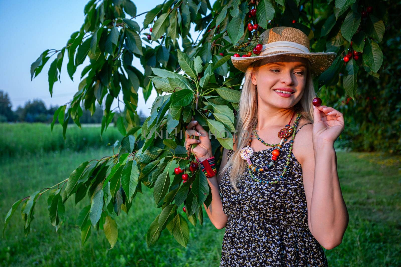 In the golden glow of a beautiful summer day, a blonde-haired woman gracefully navigates through a cherry orchard, her eyes alight with curiosity and joy. With one hand, she delicately cradles a branch of the cherry tree, while the other holds a ripe, crimson cherry, freshly plucked from the boughs above. Her gaze is drawn to the fruit, a smile gracing her lips as she admires its vibrant color and lusciousness. Dressed in a light summer dress, she exudes an air of effortless elegance, her ensemble completed by a colorful beaded necklace adorning her neck and a straw hat atop her head. As the sun begins its descent, casting a warm, amber hue over the landscape, the scene is bathed in a soft, ethereal light. Behind her, the cherry tree stands adorned with ripe fruit and verdant leaves, a testament to the abundance of nature's blessings. In the background, the lush green grass adds to the idyllic setting, its vibrant hue contrasting beautifully with the azure sky above. In this tranquil moment, amidst the beauty of the orchard, the woman finds solace and joy in the simple pleasures of life, embracing the warmth of the sun and the sweetness of the season's bounty.