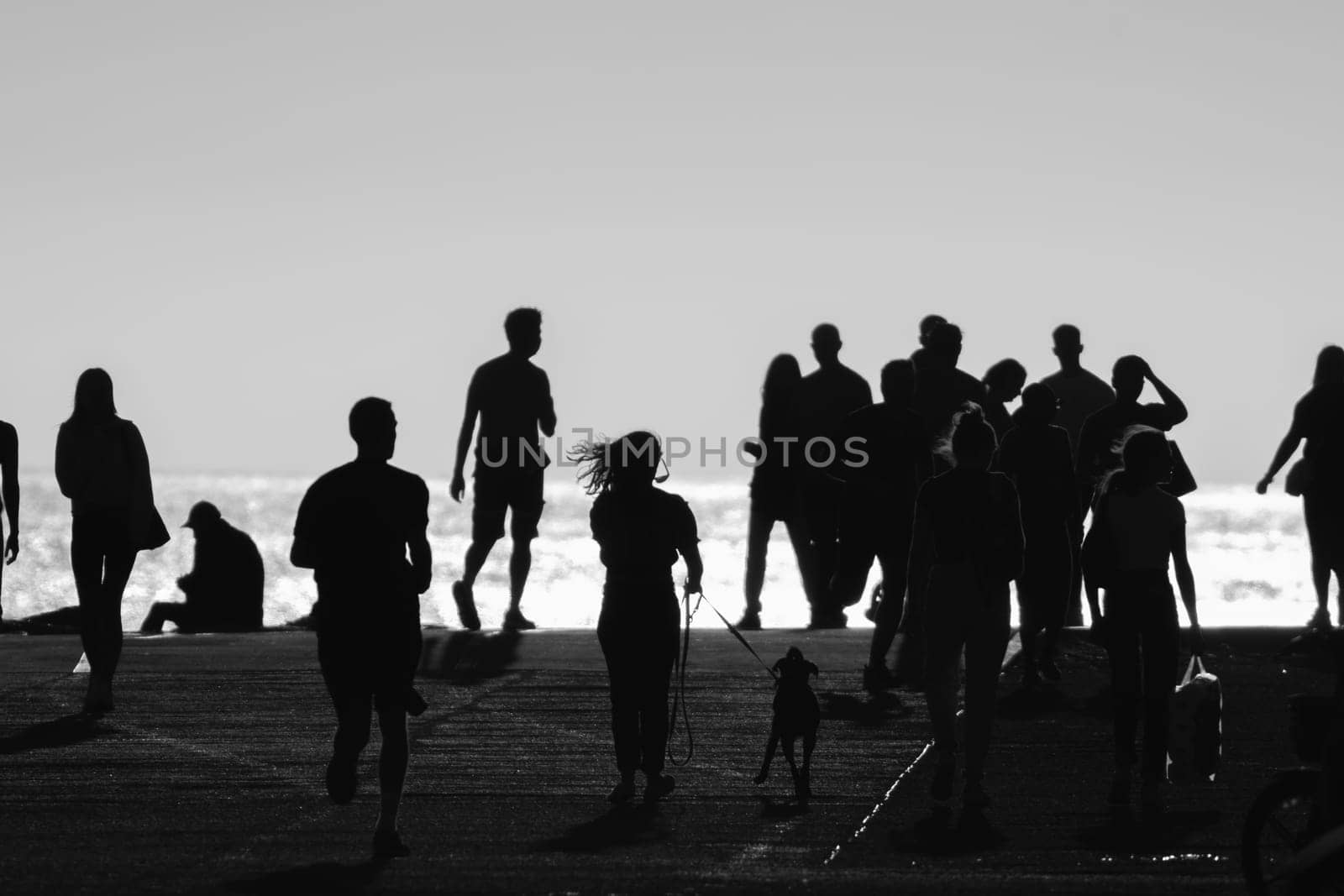 Monochrome shot of silhouettes of people walking on the hill by the sea. Mid shot