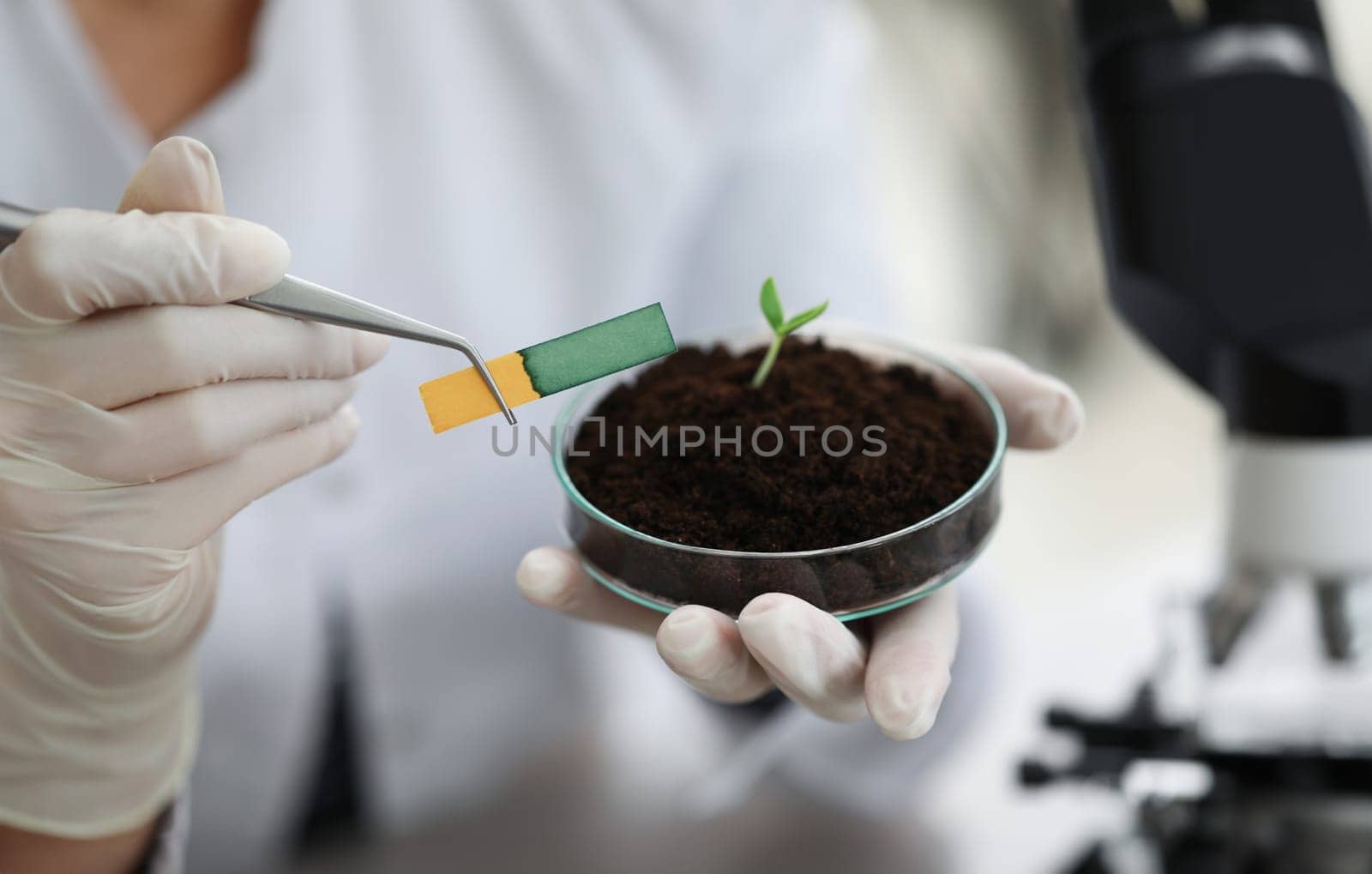 Researcher holds small-stemmed glass flask with soil with Ph test strip. Scientific research in botany concept