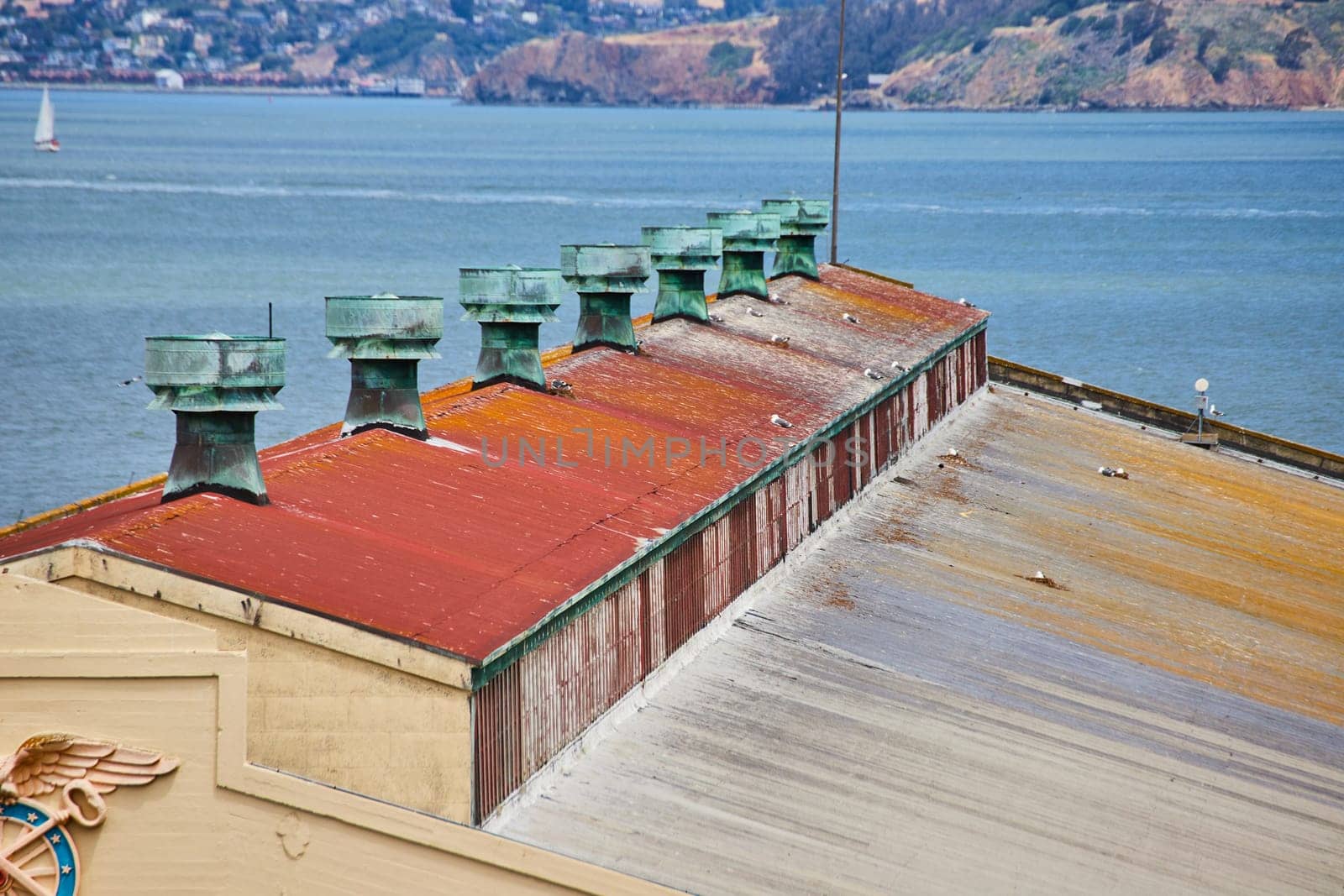 Image of Rooftop of warehouse in San Francisco Bay with seagulls resting on top and sailboat on water