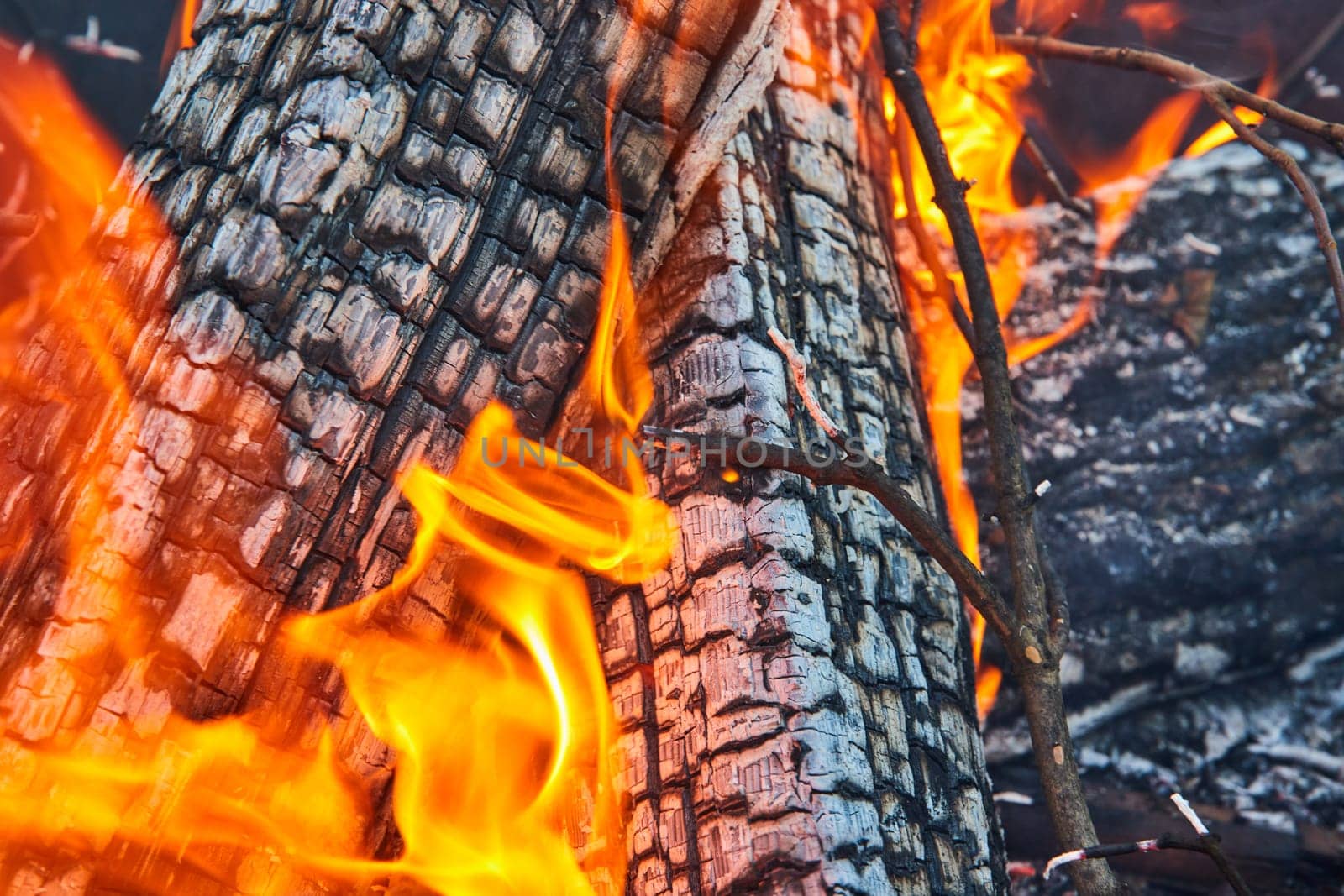 Image of Close up background asset orange and yellow flames lapping against two ashen logs