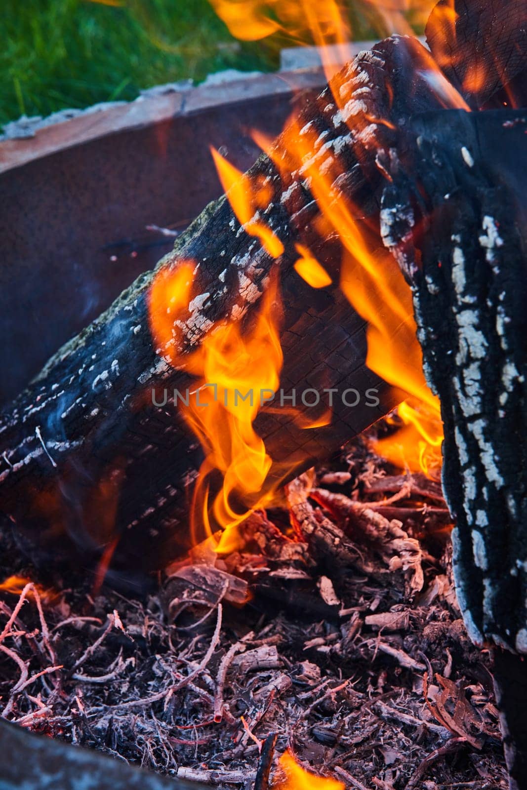 Image of Burning logs in fire pit with curled white twigs