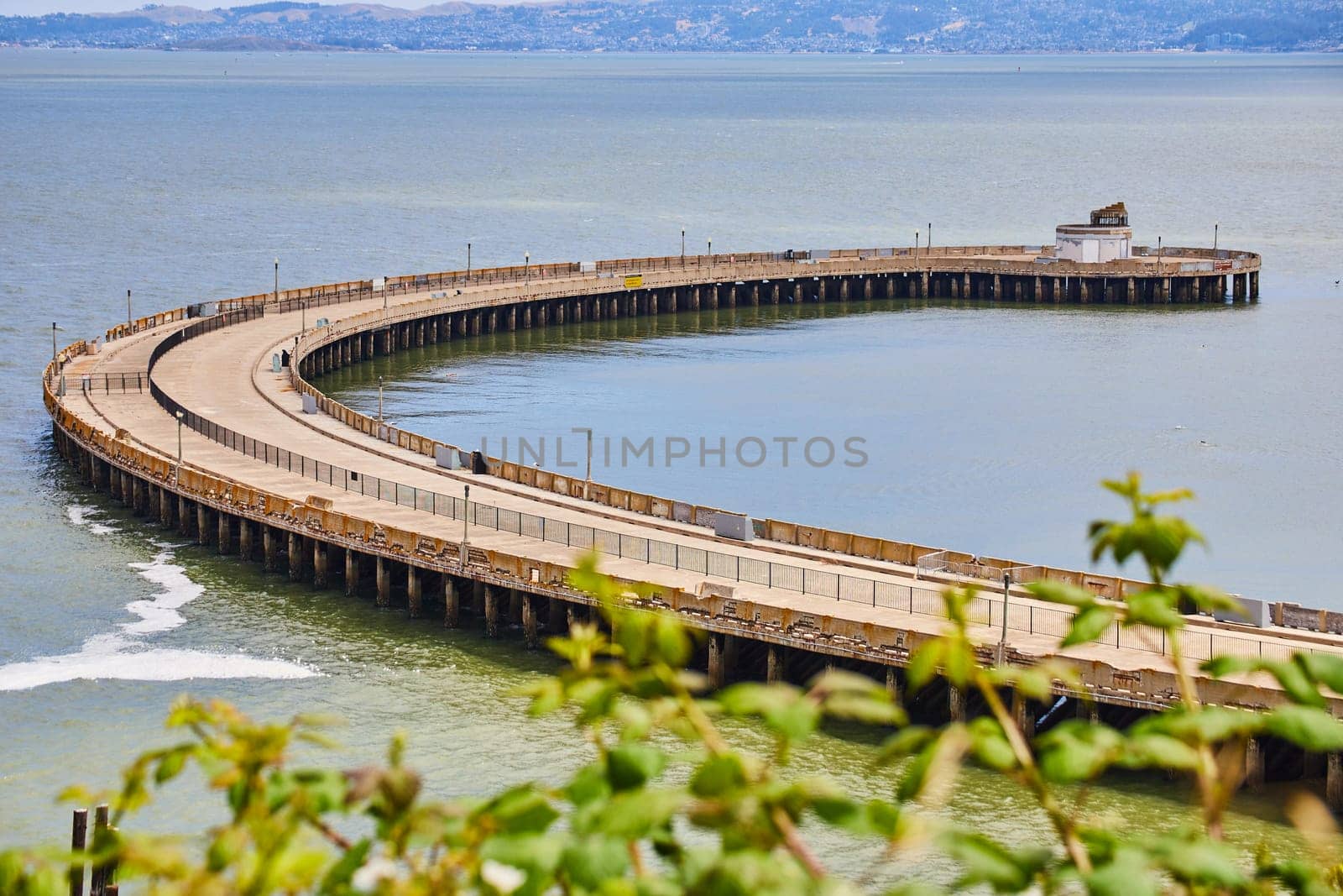 Image of Aquatic Park Cove in San Francisco Bay with railing and green foliage at bottom of shot