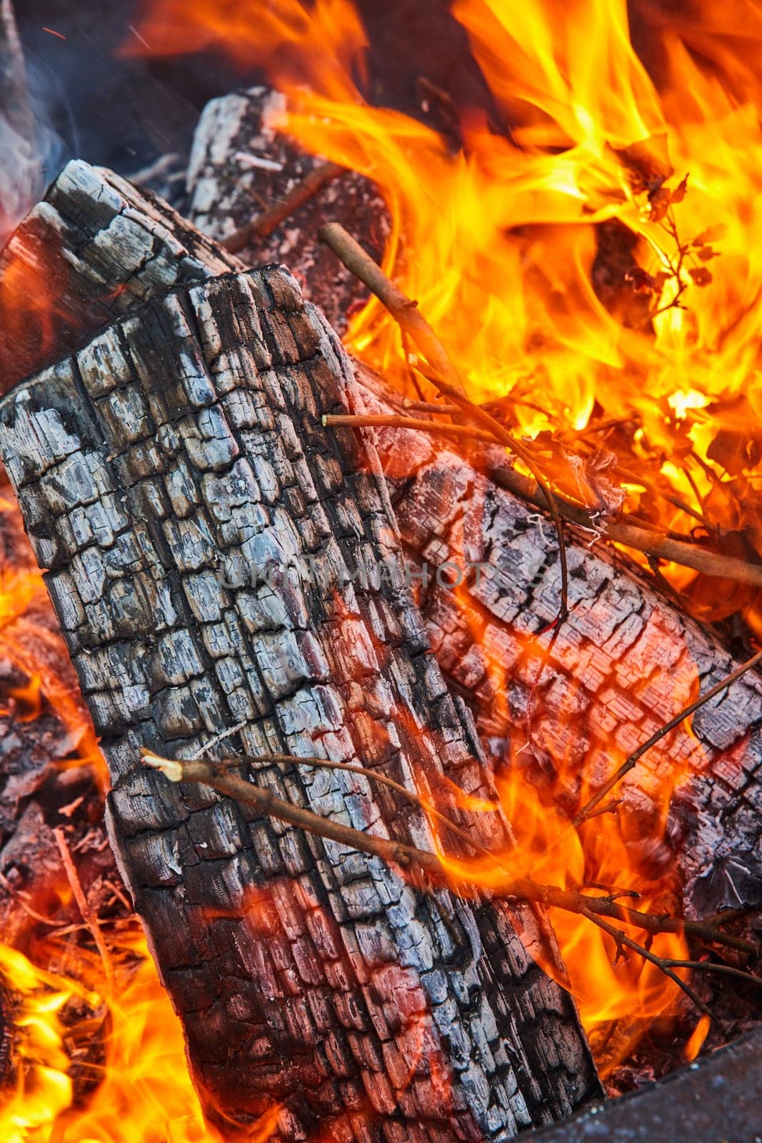 Image of Several logs and plant leaves on fire close up with orange and yellow flames in background asset