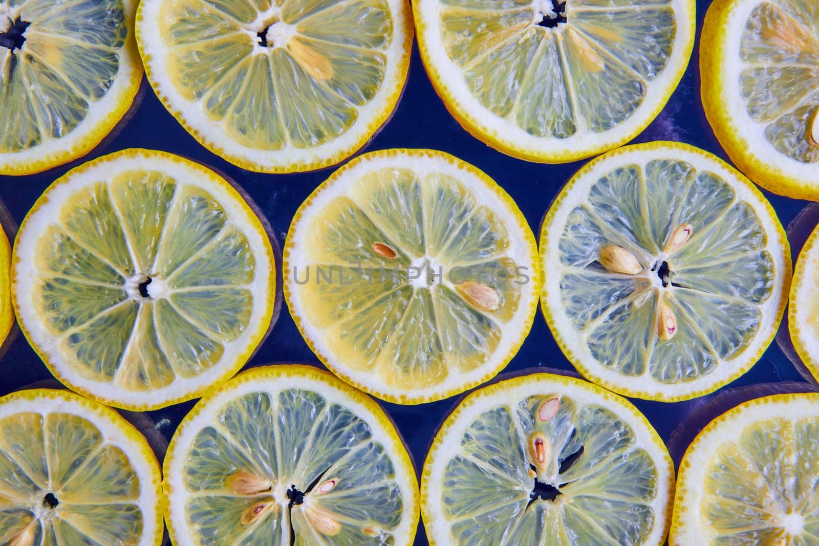 Image of See through lemon slices with seeds on navy blue background