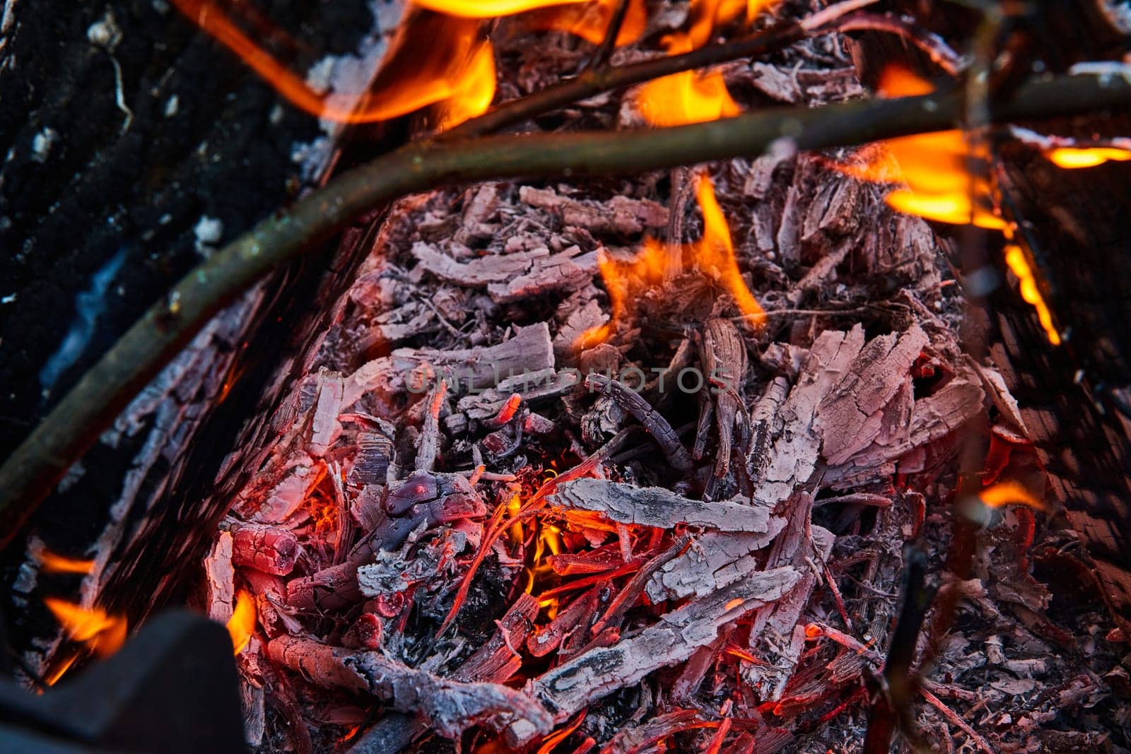 Image of Close up of embers burning with white ashes in a pile and yellow and orange flames
