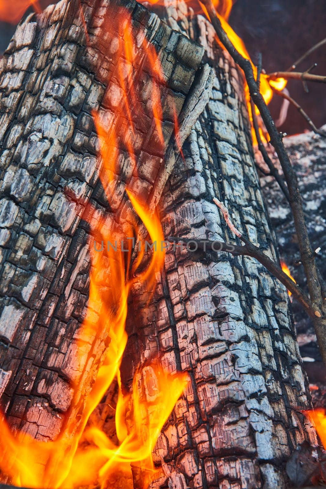 Image of Orange and yellow flames lapping at two ashen logs close up background asset