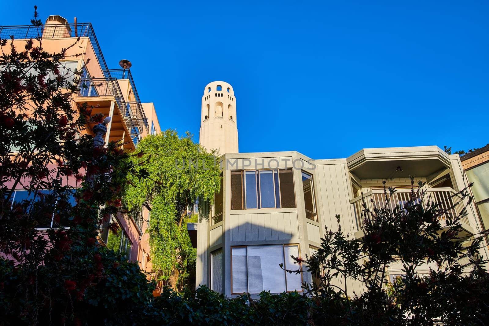 Image of Two large apartment buildings with Coit Tower looming in background with cerulean blue sky