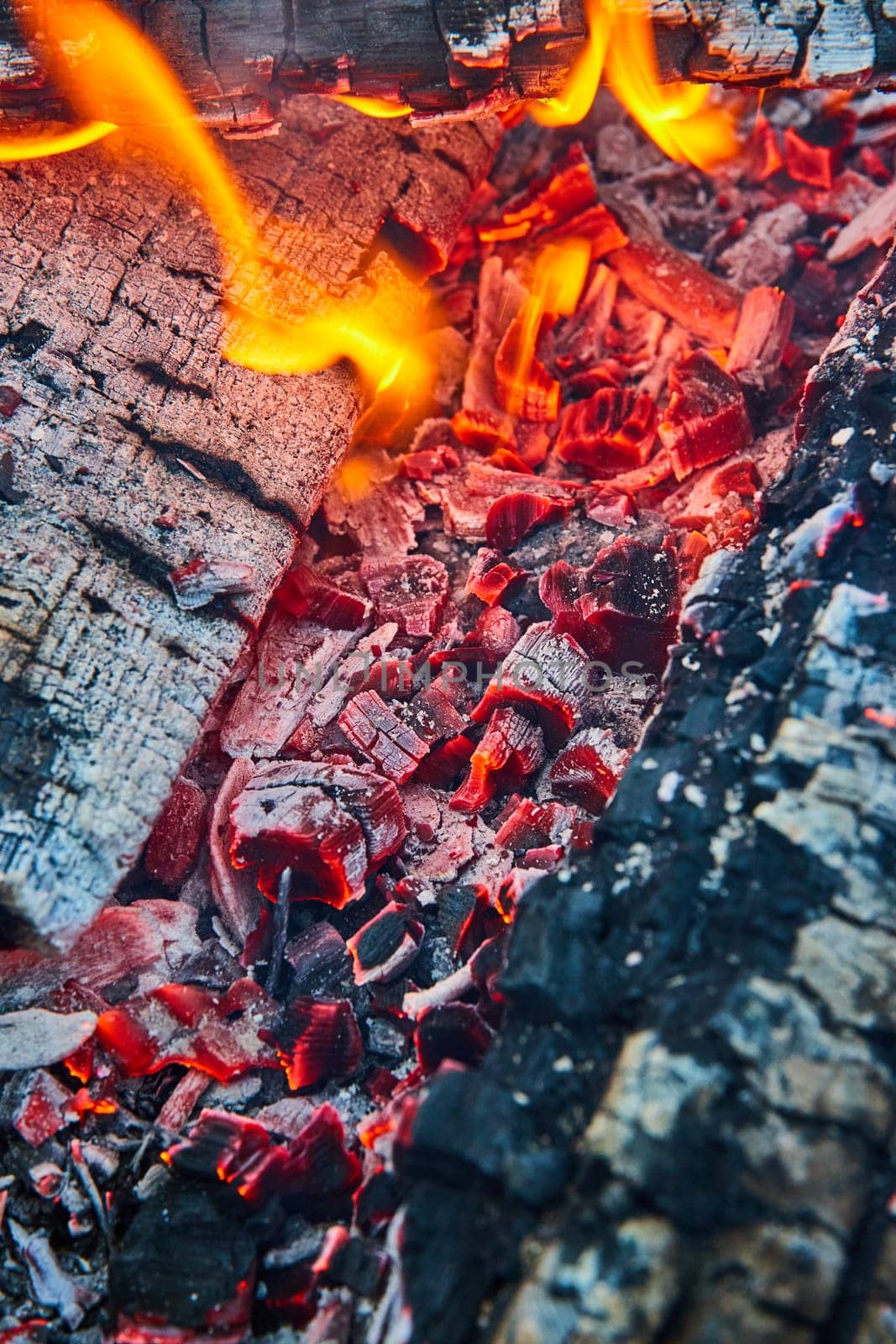Image of Macro view burning red embers with blackened logs and white ashes background asset
