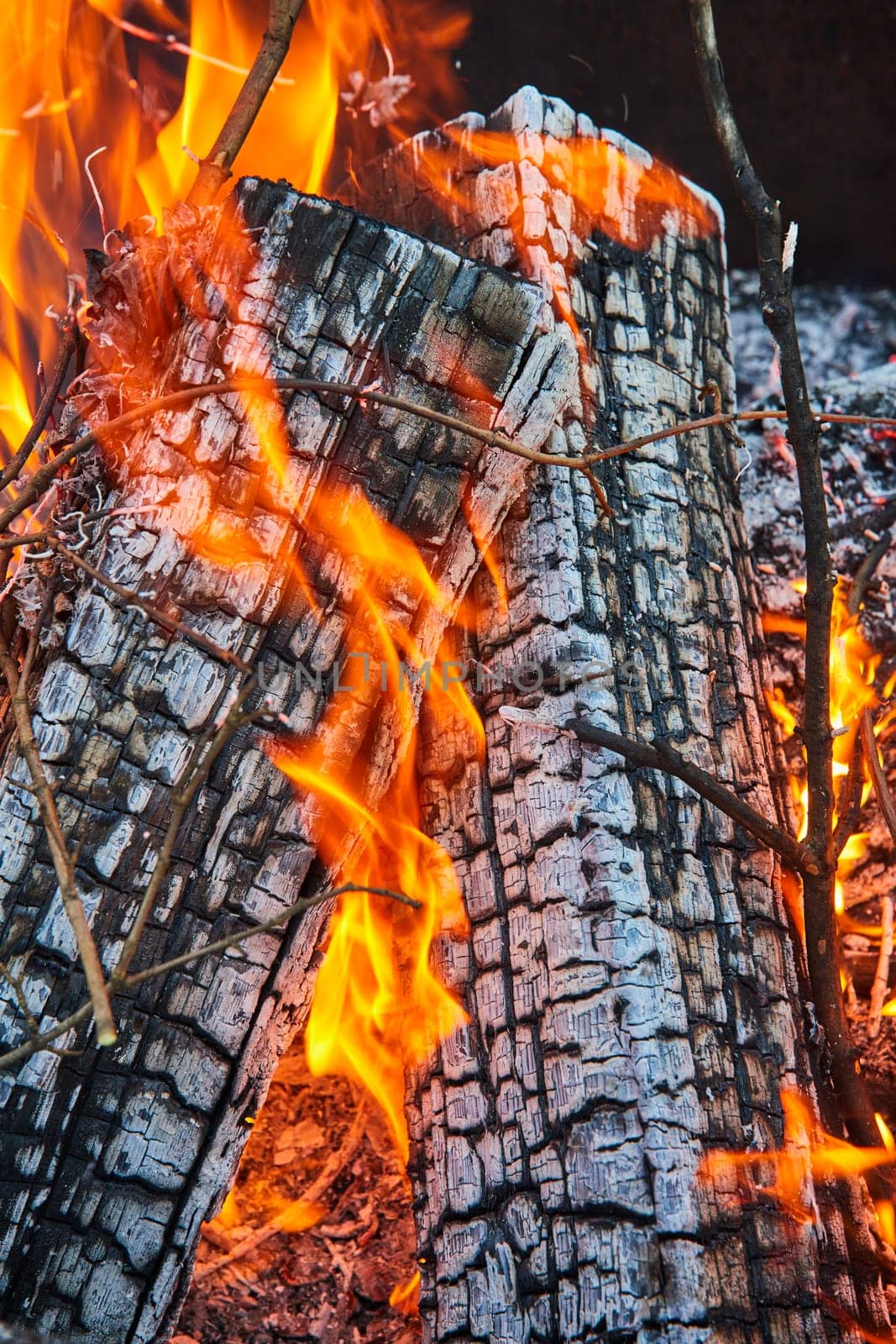 Image of Background asset two ashen logs burning with orange and yellow flames