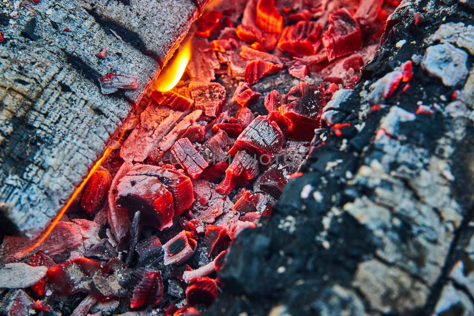 Image of Macro shot of glowing red embers with black charred wood and tiny flames background asset