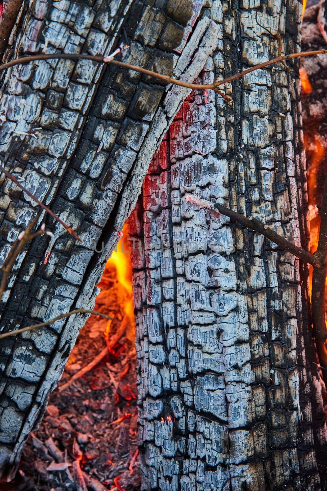 Image of Detailed view of two ashen logs with red embers and tiny orange and yellow flames