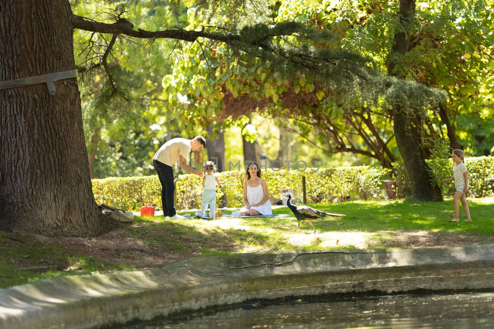 Family is enjoying a picnic lunch in a park with a peacock approaching them