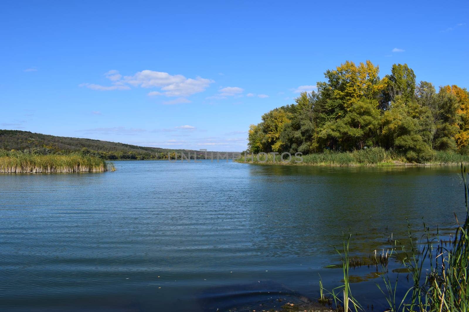 Beautiful view over a calm lake. Clear fresh nature, untouched. Forest in the background. National reserve. Beautiful lake, Calm blue water, big green trees, blue sky. Sunny day in autumn.